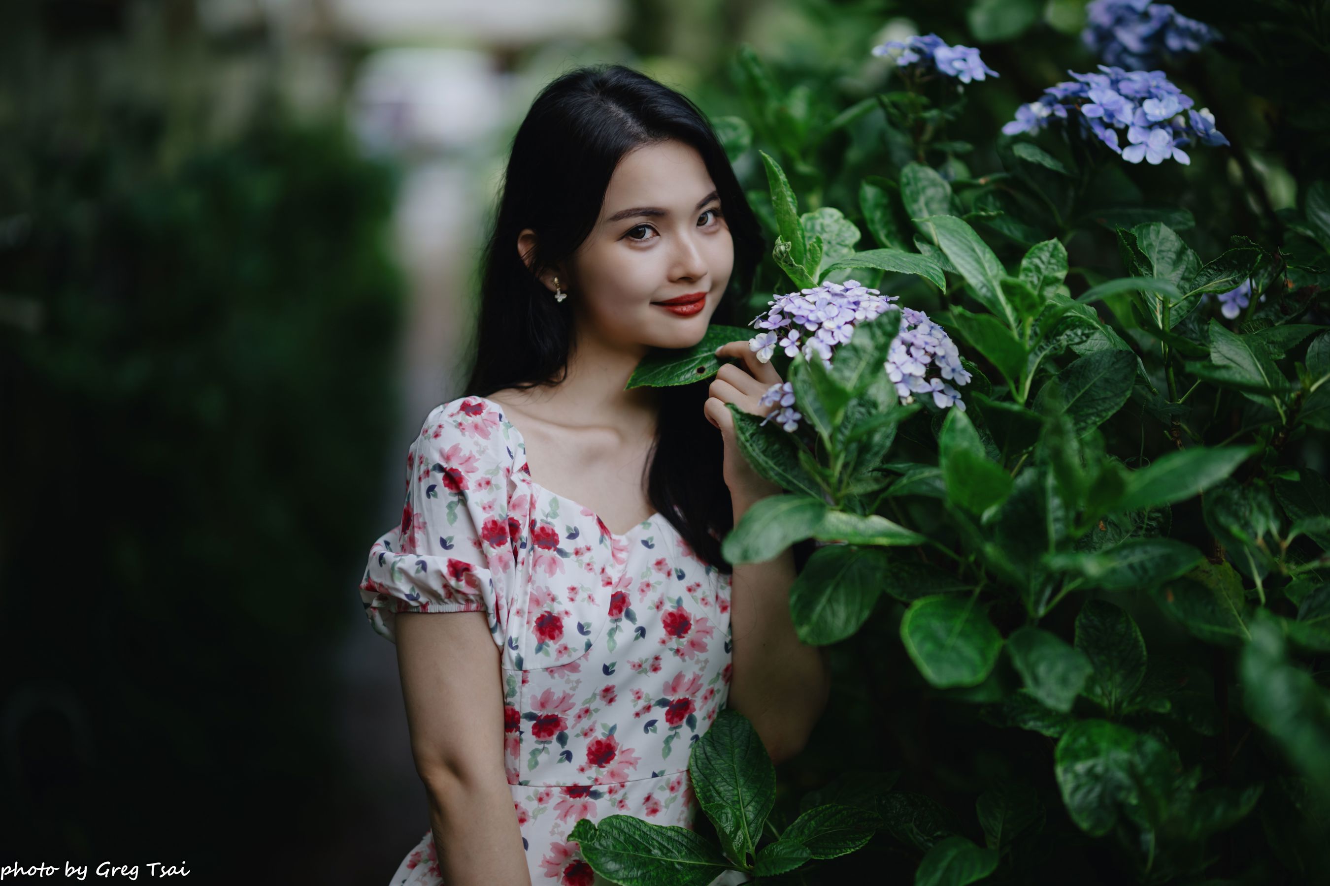 米浆 - 绣球花/(126P)