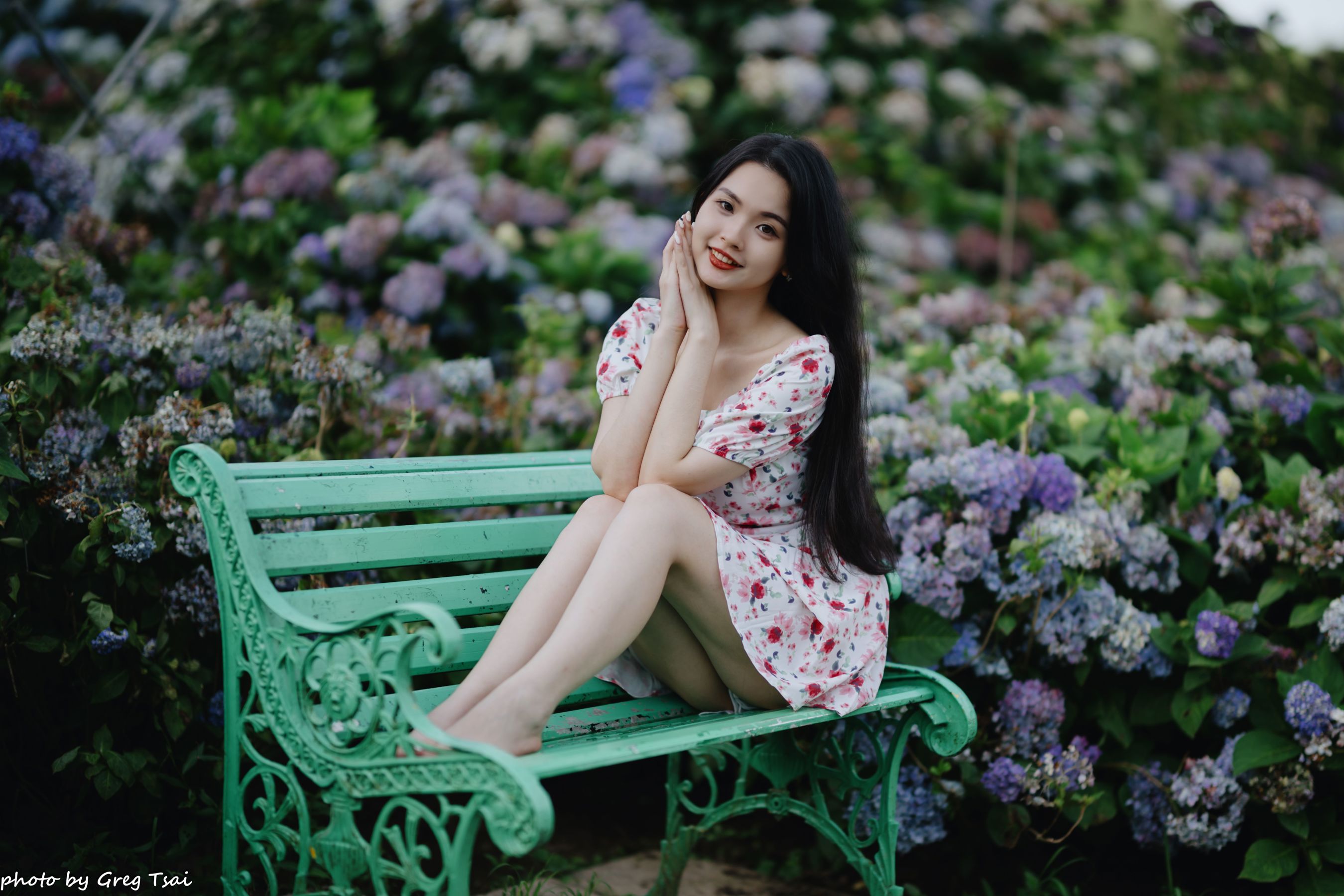 米浆 - 绣球花/(126P)