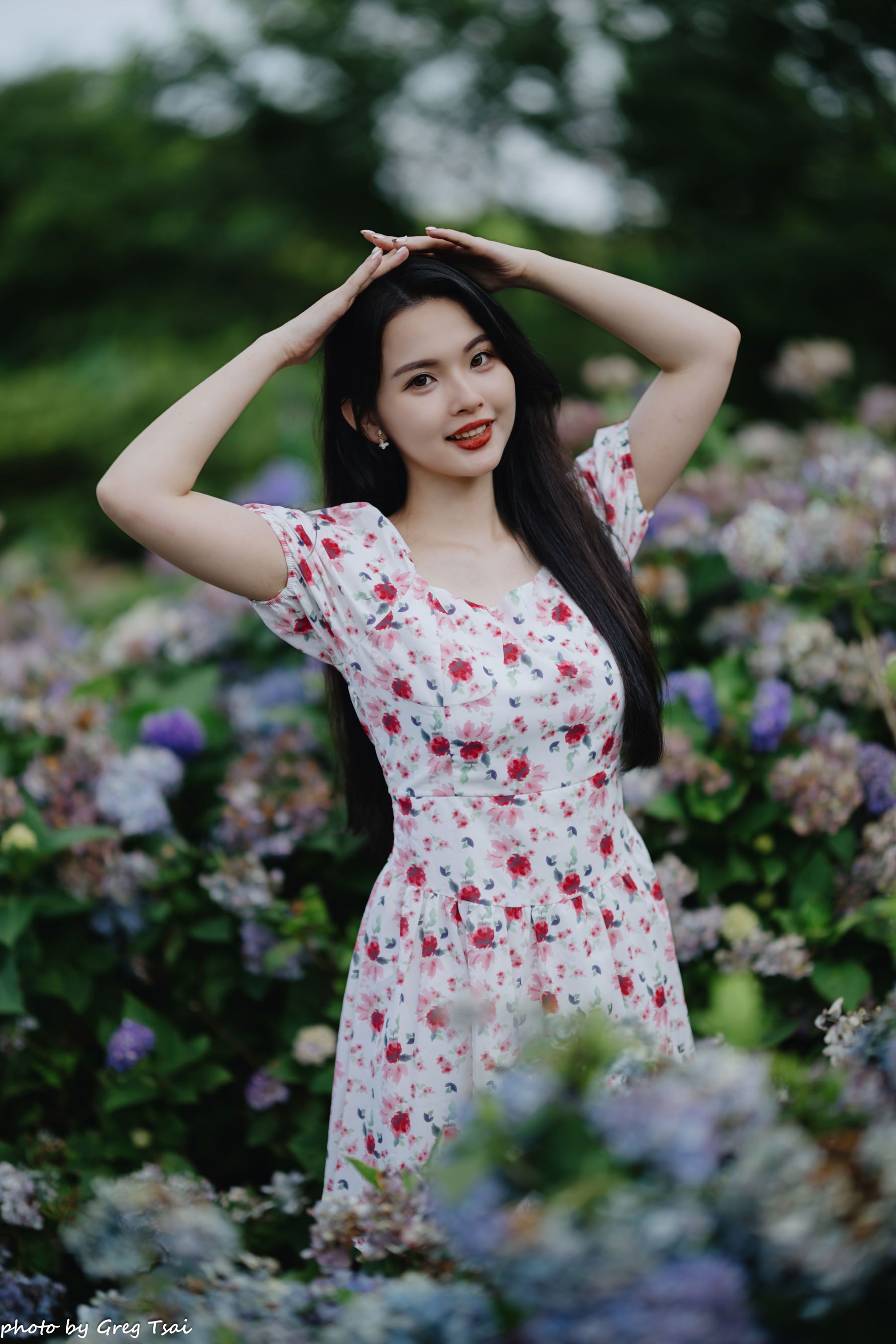 米浆 - 绣球花/(126P)