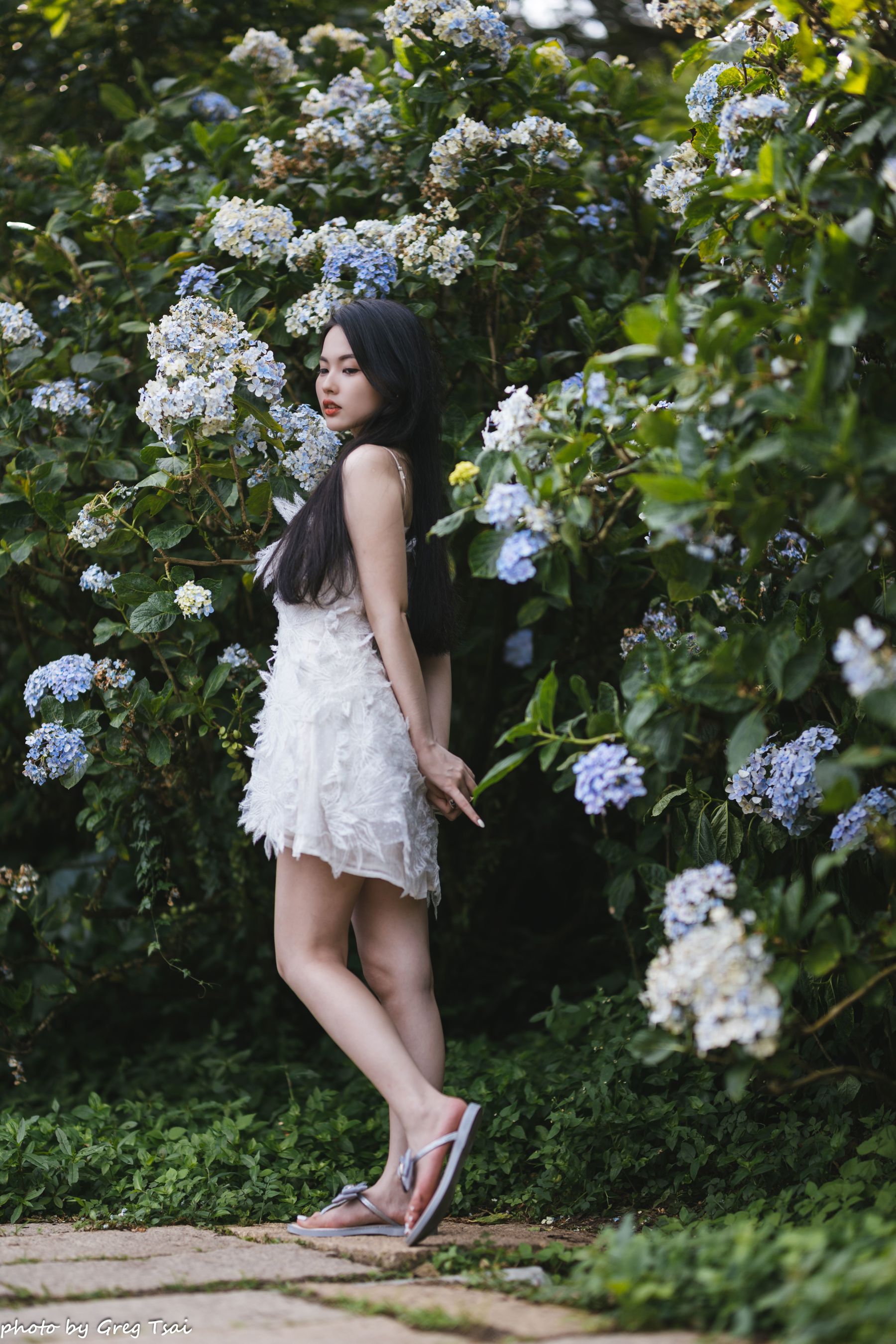 米浆 - 绣球花/(126P)