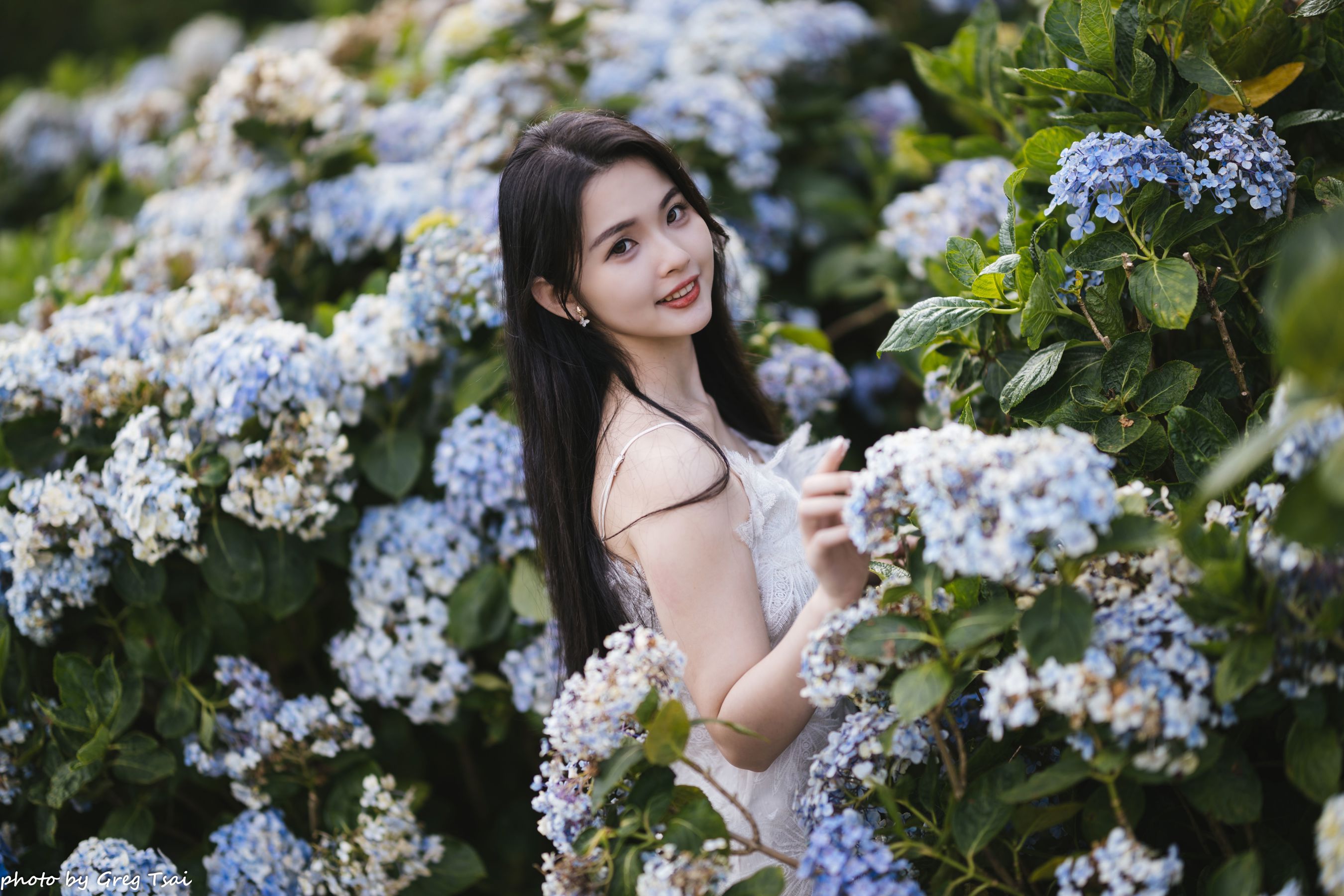 米浆 - 绣球花/(126P)