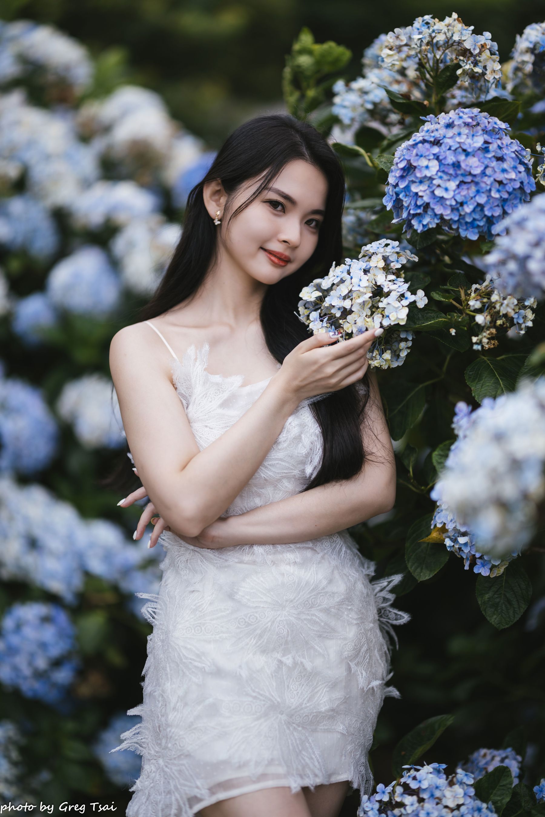 米浆 - 绣球花/(126P)