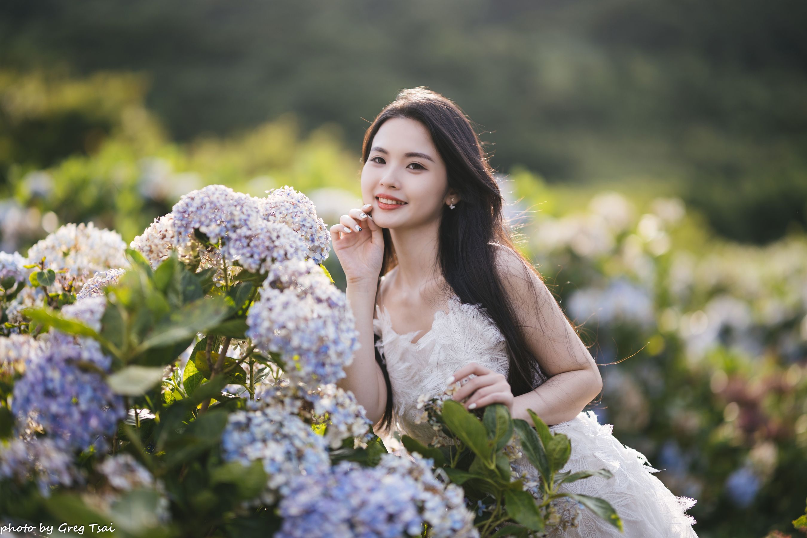 米浆 - 绣球花/(126P)