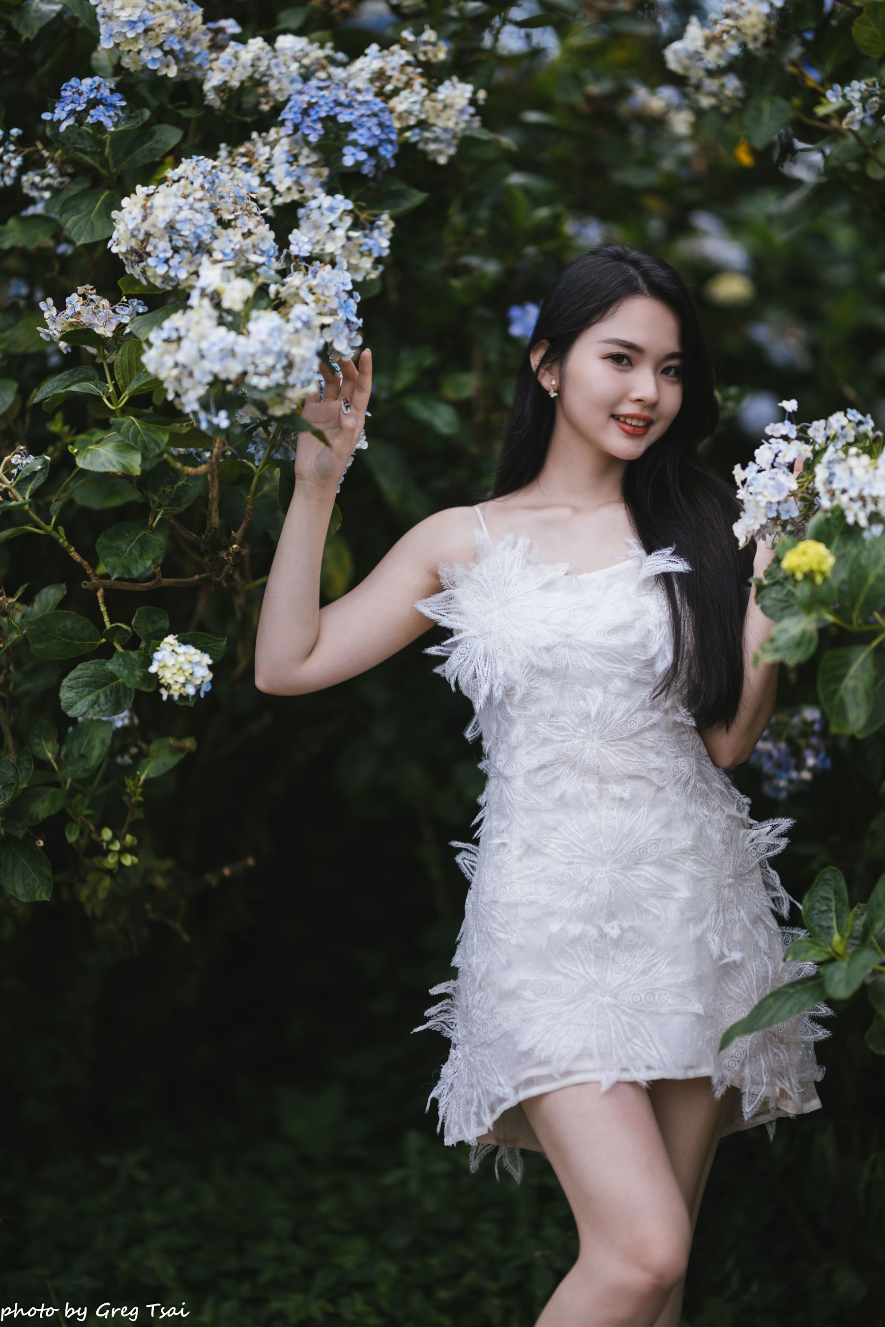 米浆 - 绣球花/(126P)