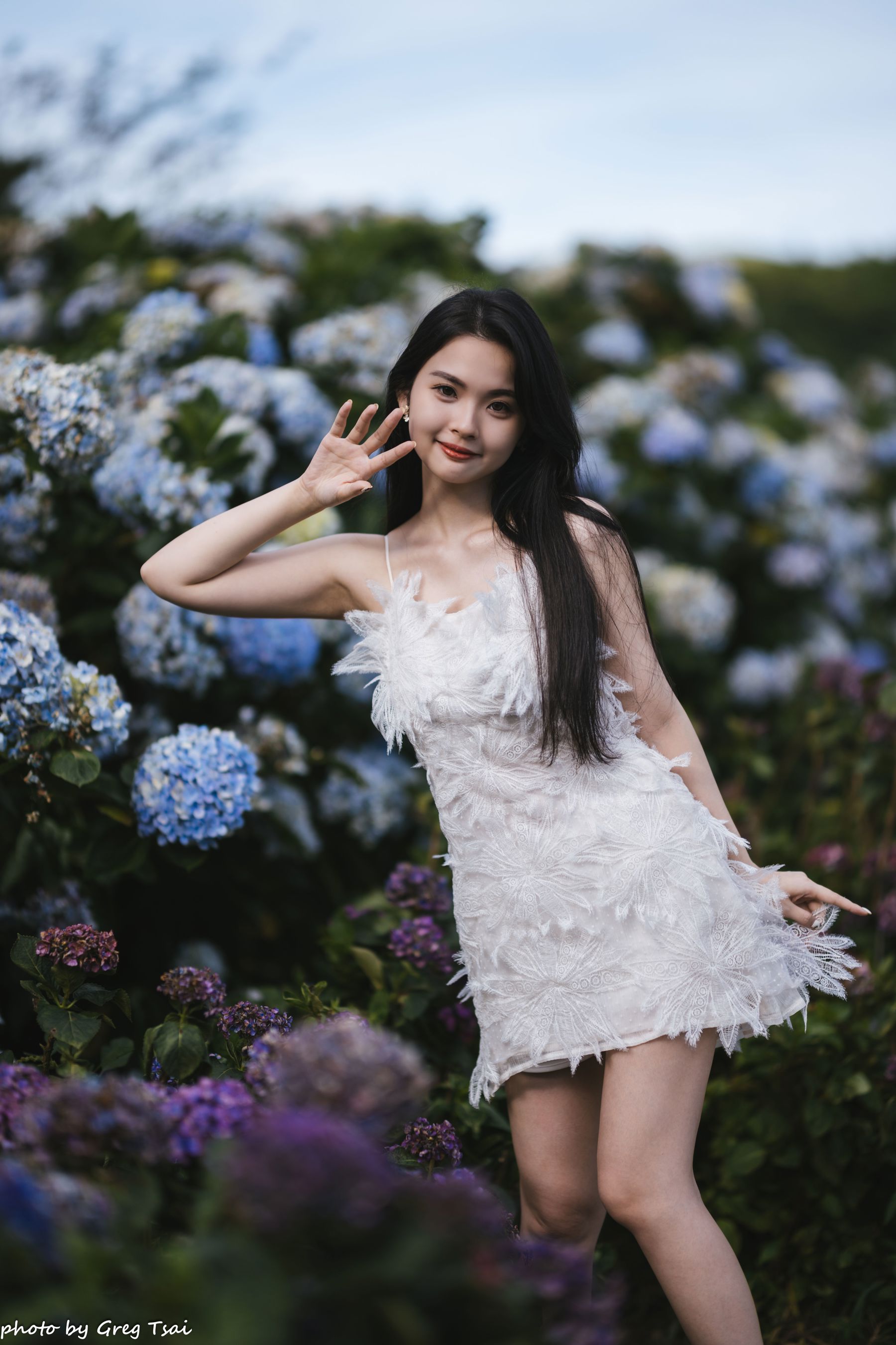 米浆 - 绣球花/(126P)