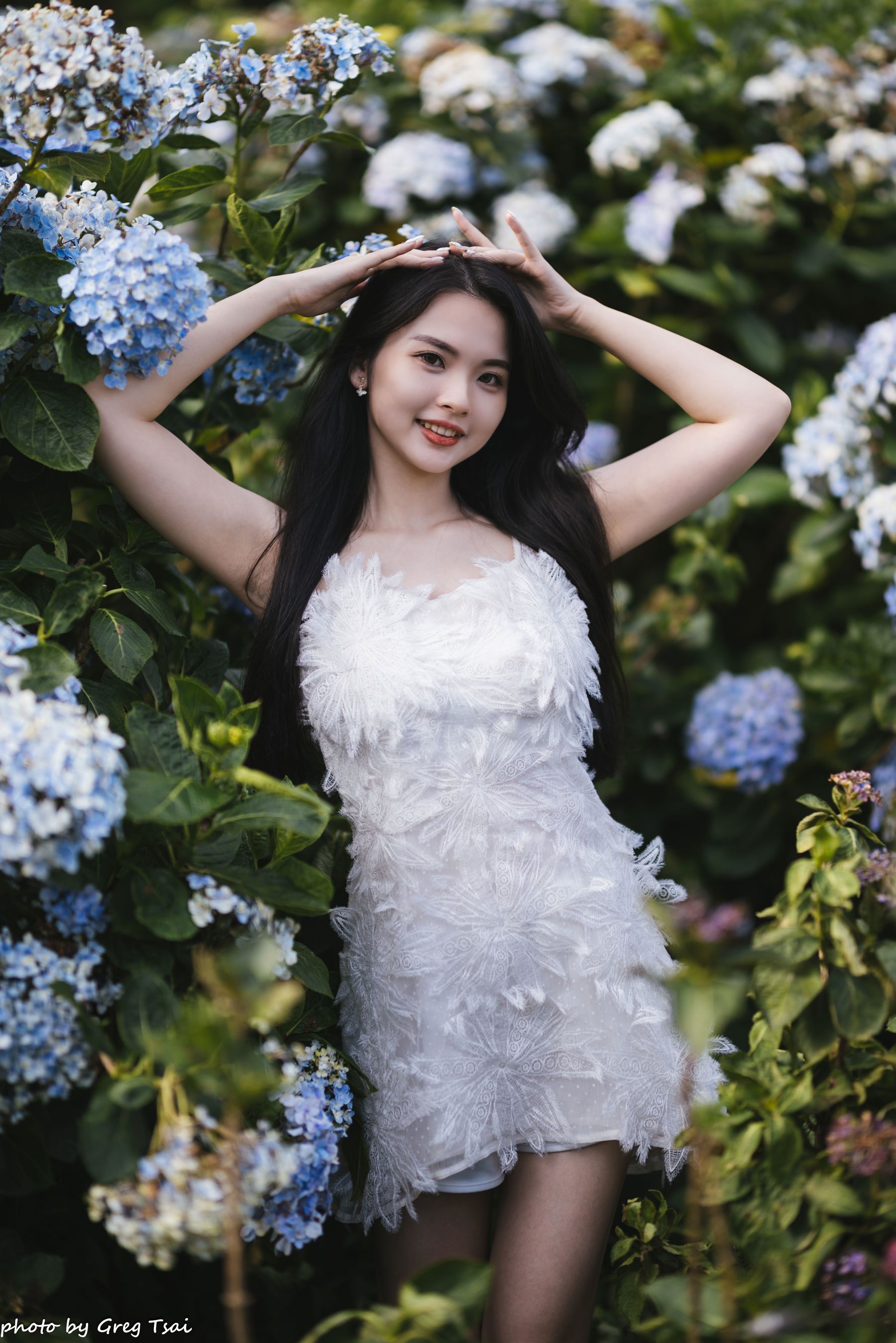 米浆 - 绣球花/(126P)