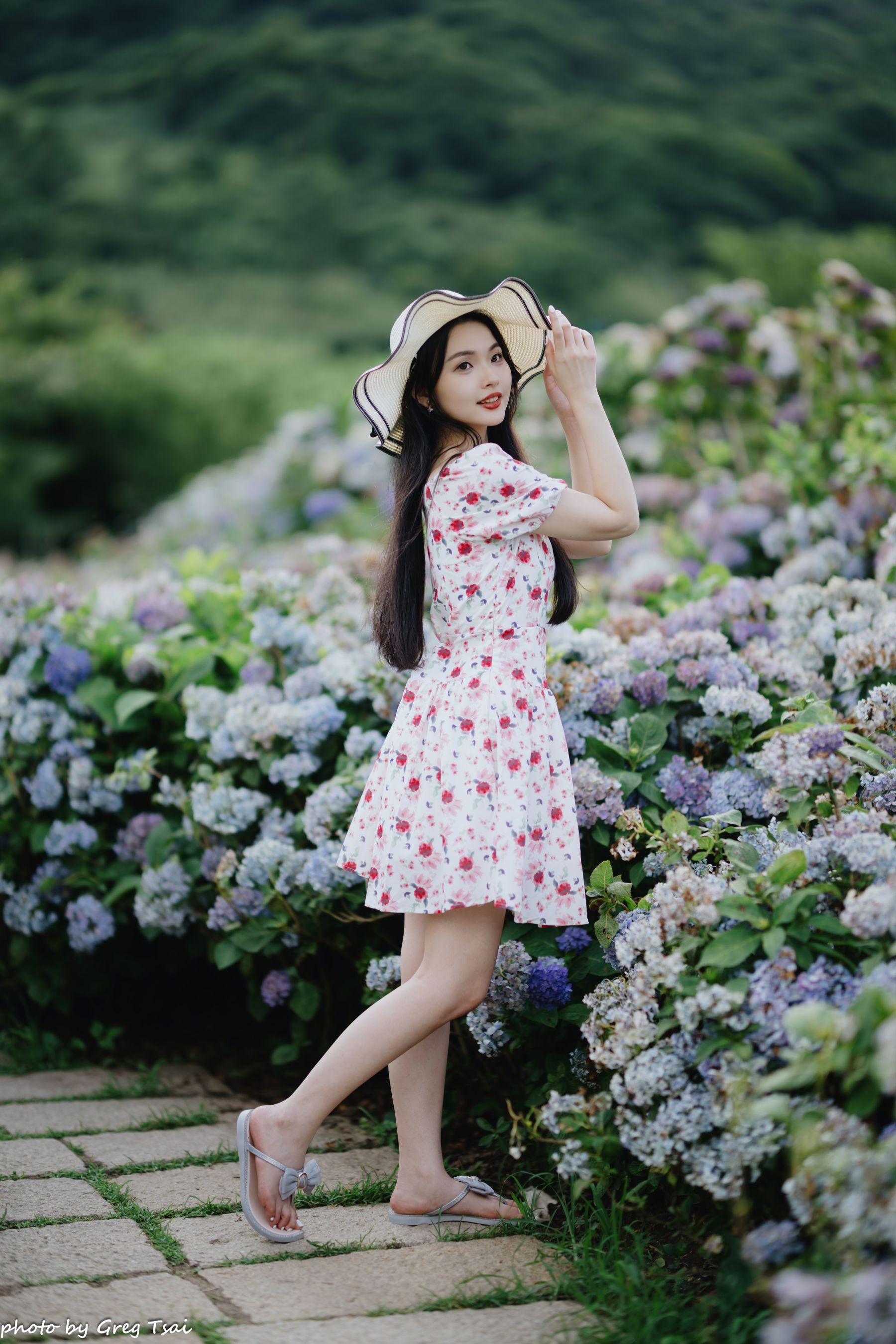 米浆 - 绣球花/(126P)