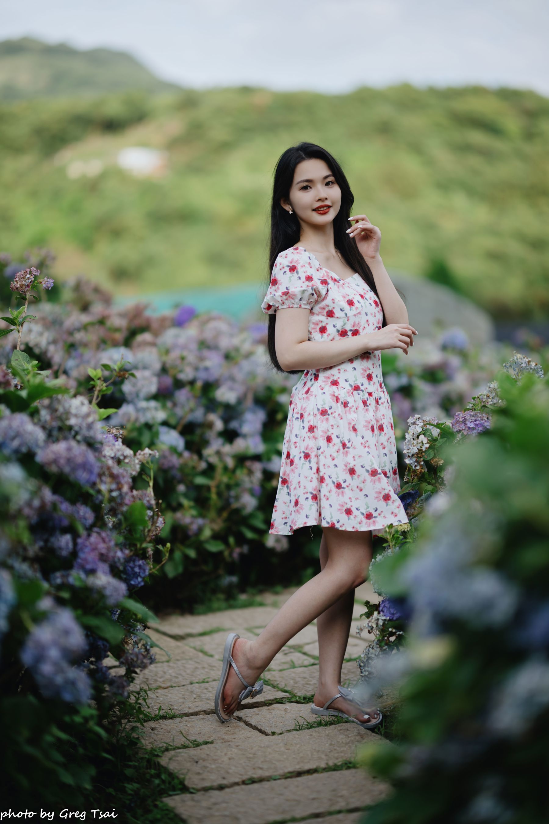 米浆 - 绣球花/(126P)