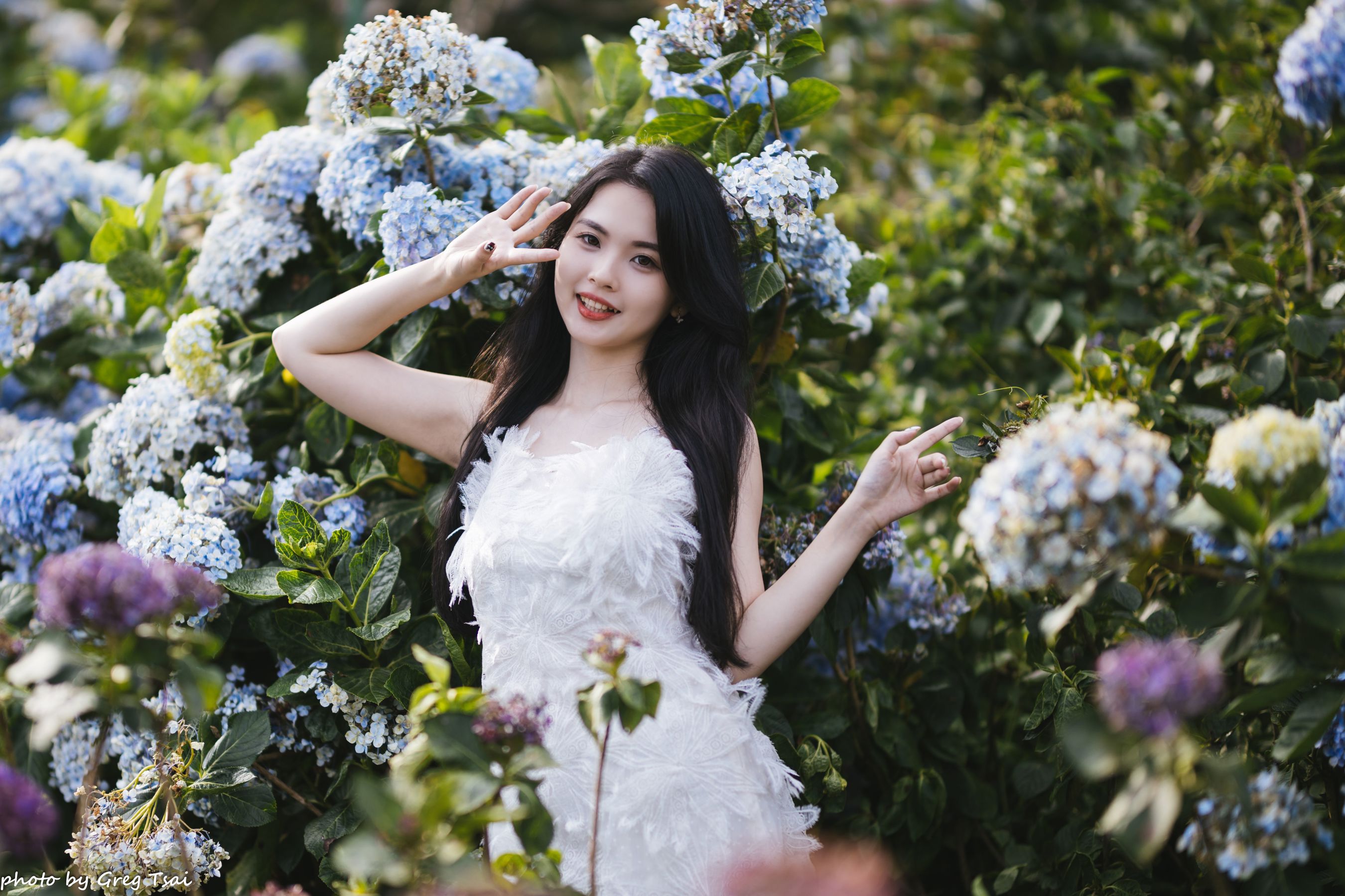 米浆 - 绣球花/(126P)