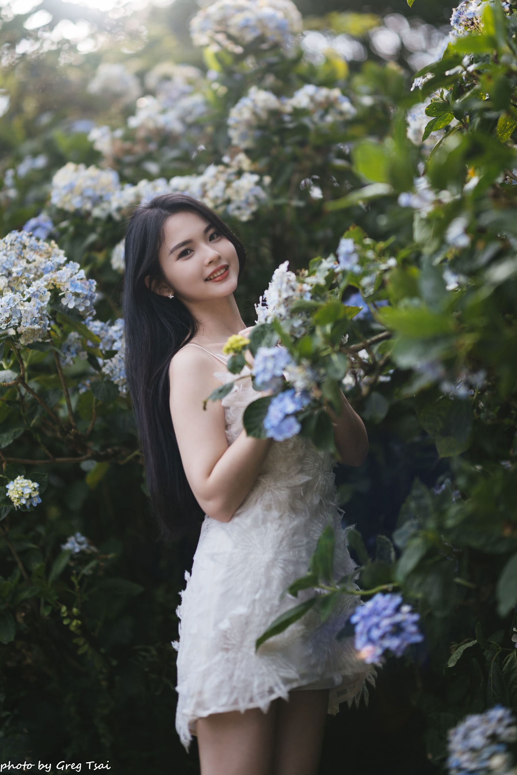 米浆 - 绣球花/(126P)