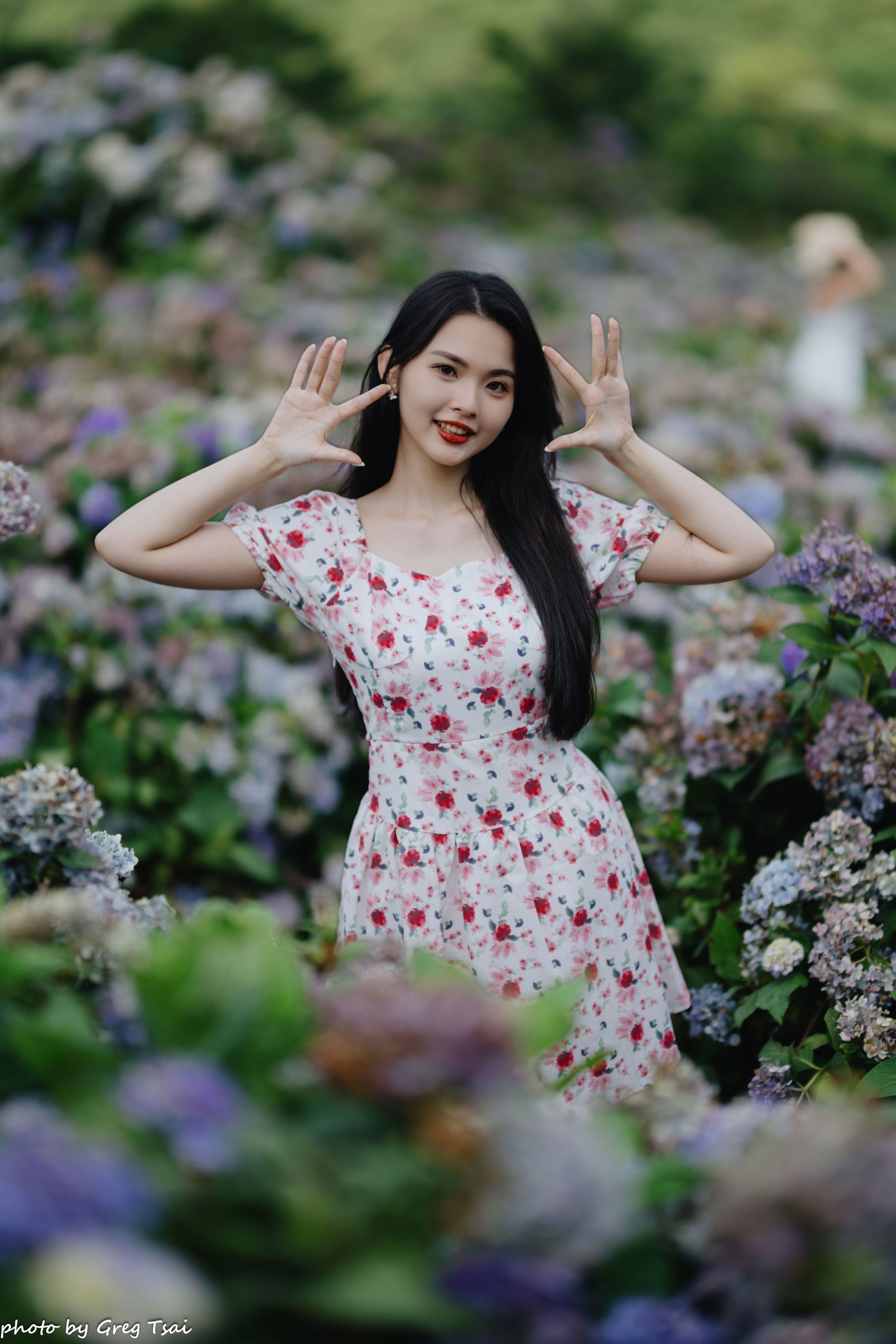 米浆 - 绣球花/(126P)