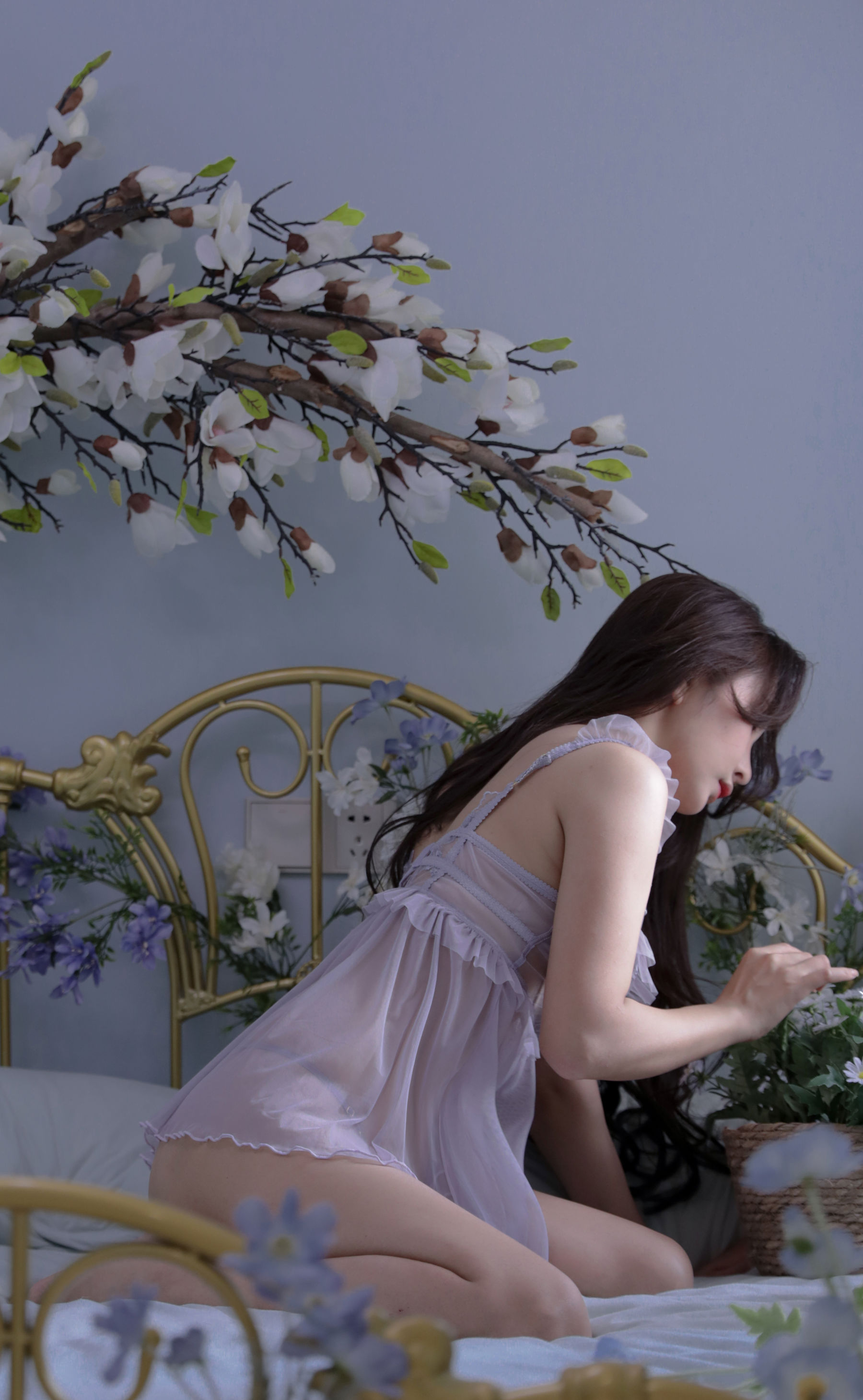 苏嫣嫣阿姨 - 梦紫/(27P)