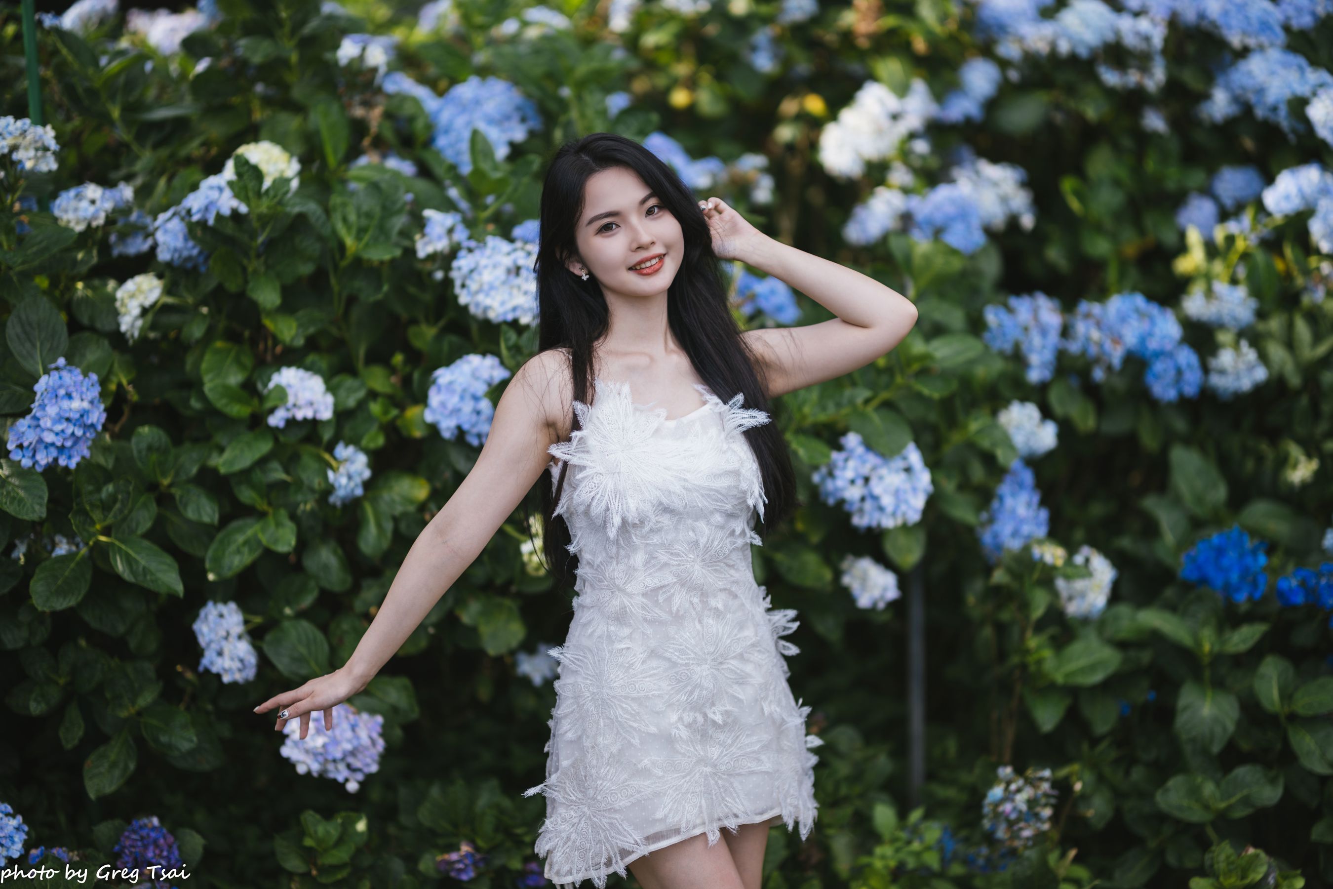 米浆 - 绣球花/(126P)