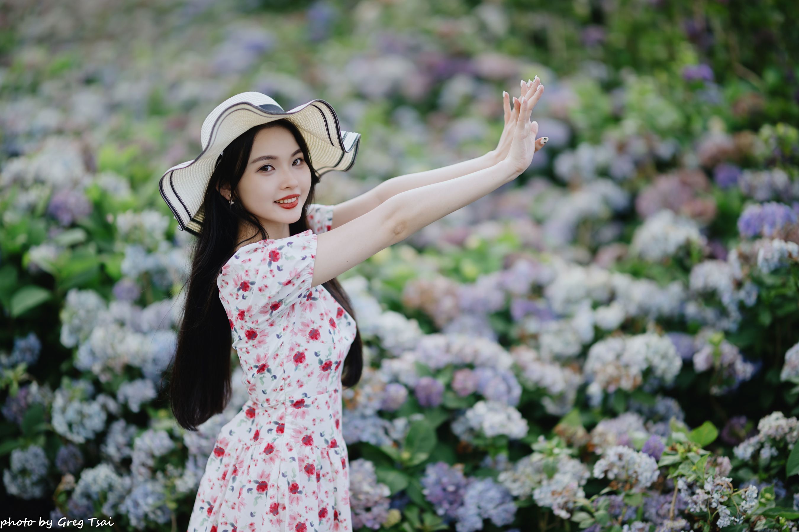 米浆 - 绣球花/(126P)