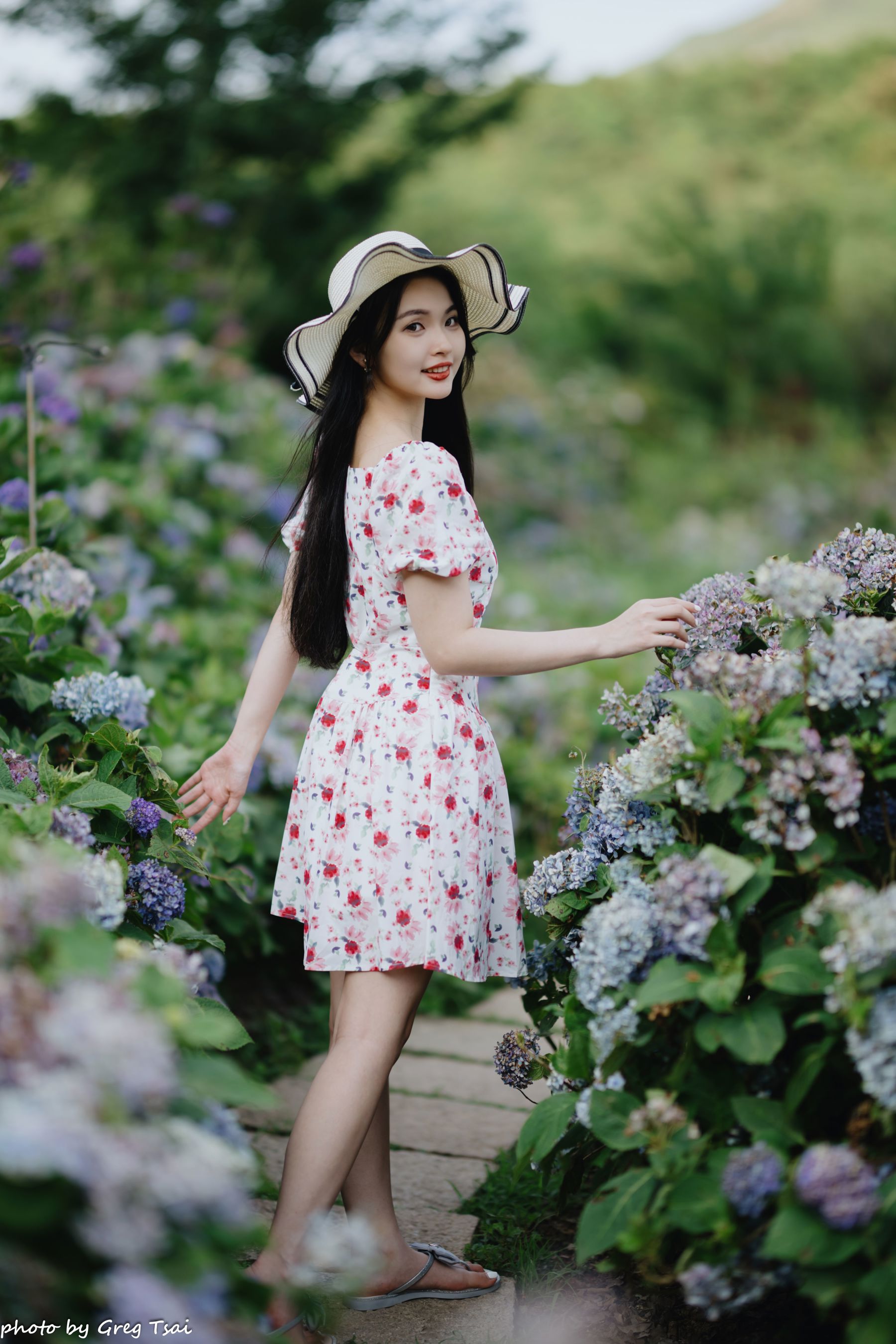 米浆 - 绣球花/(126P)