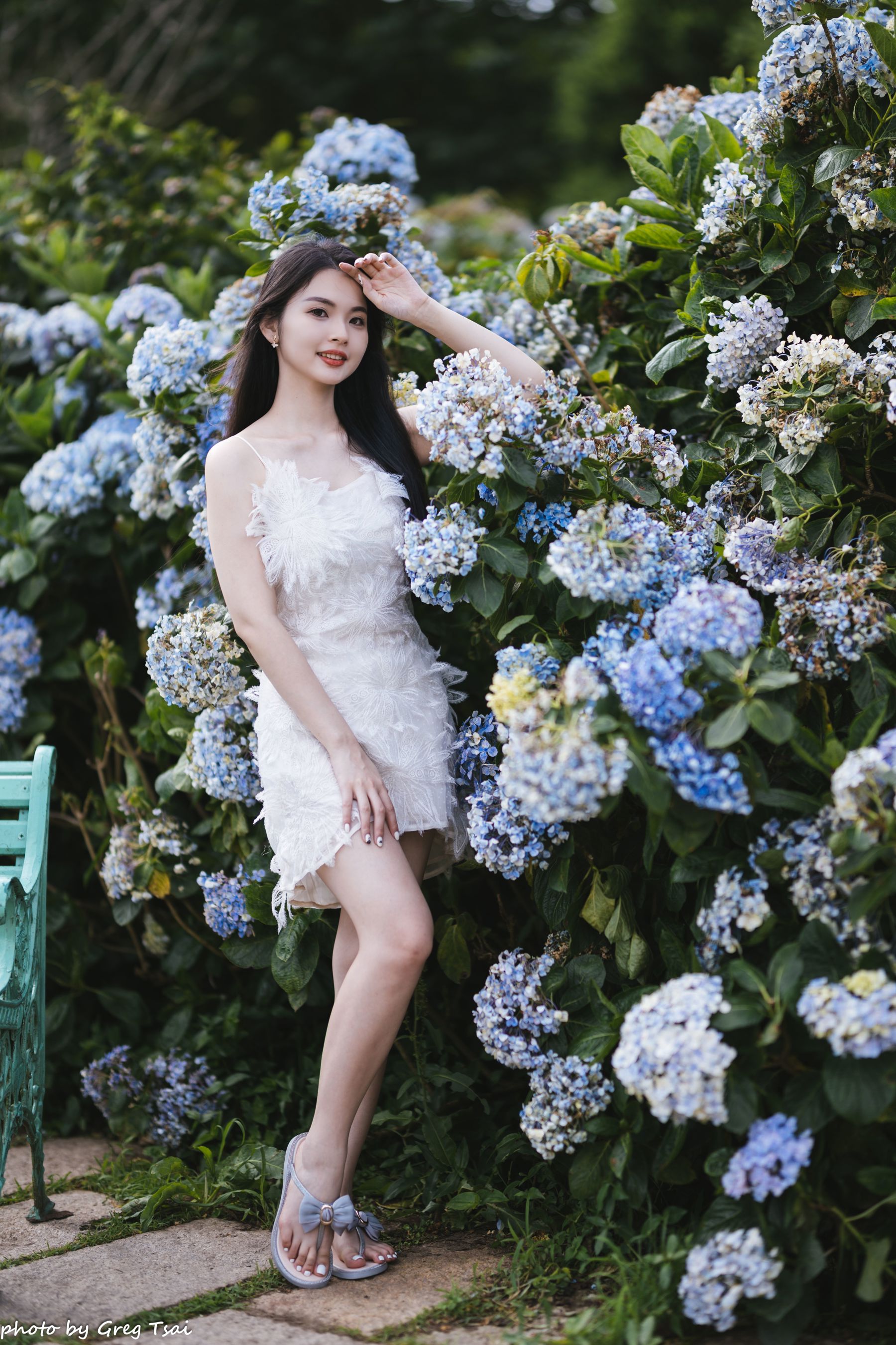 米浆 - 绣球花/(126P)