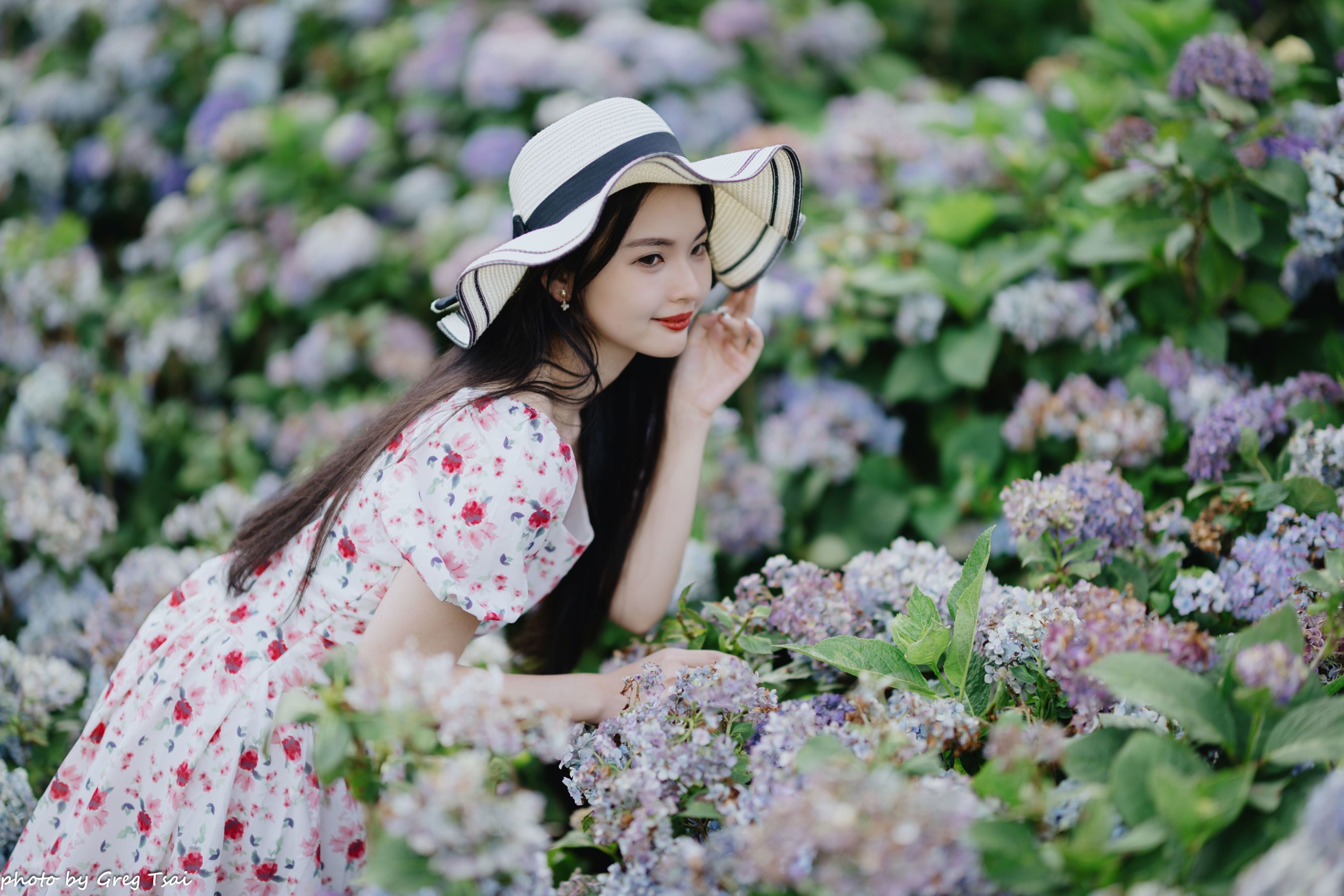 米浆 - 绣球花/(126P)