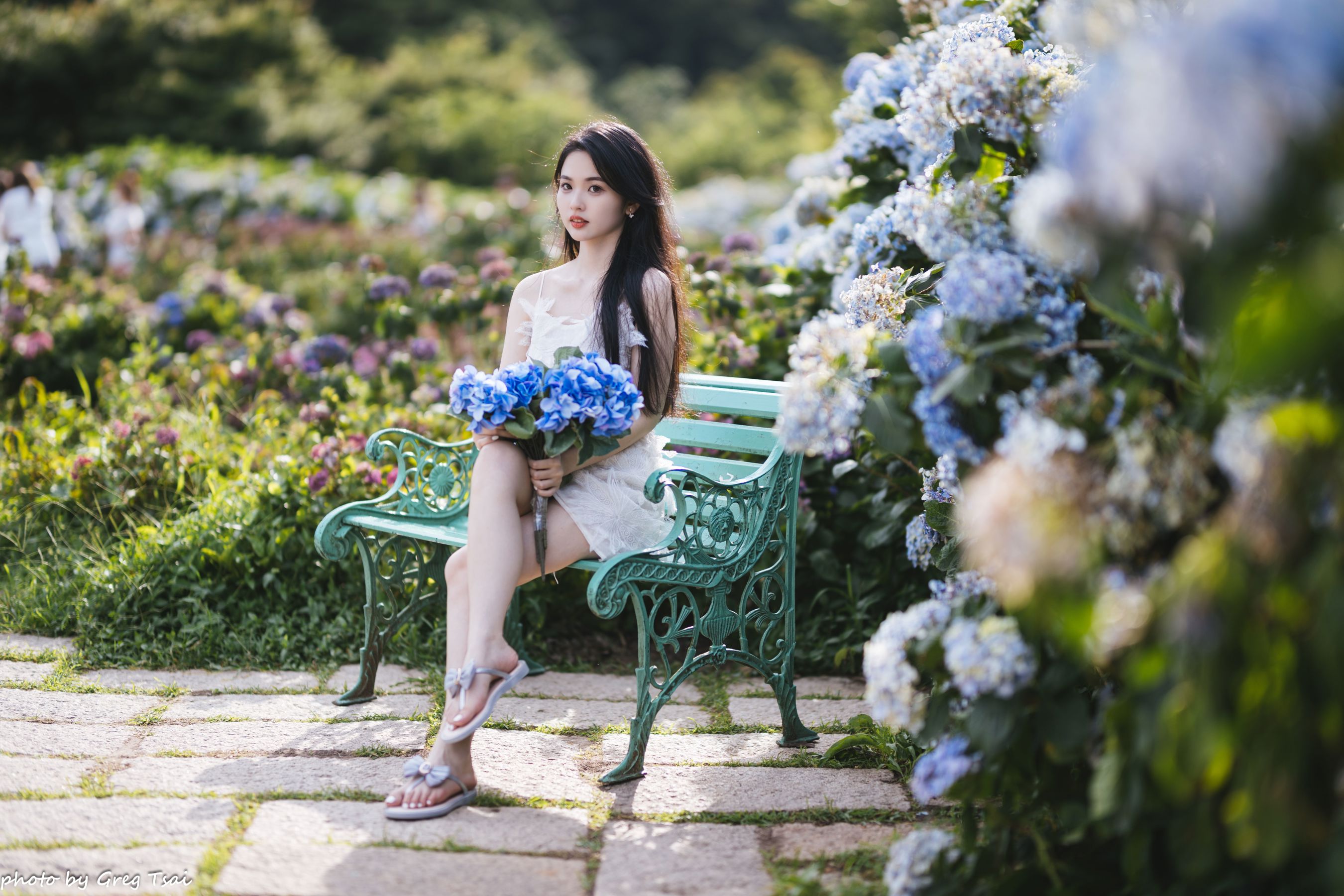 米浆 - 绣球花/(126P)