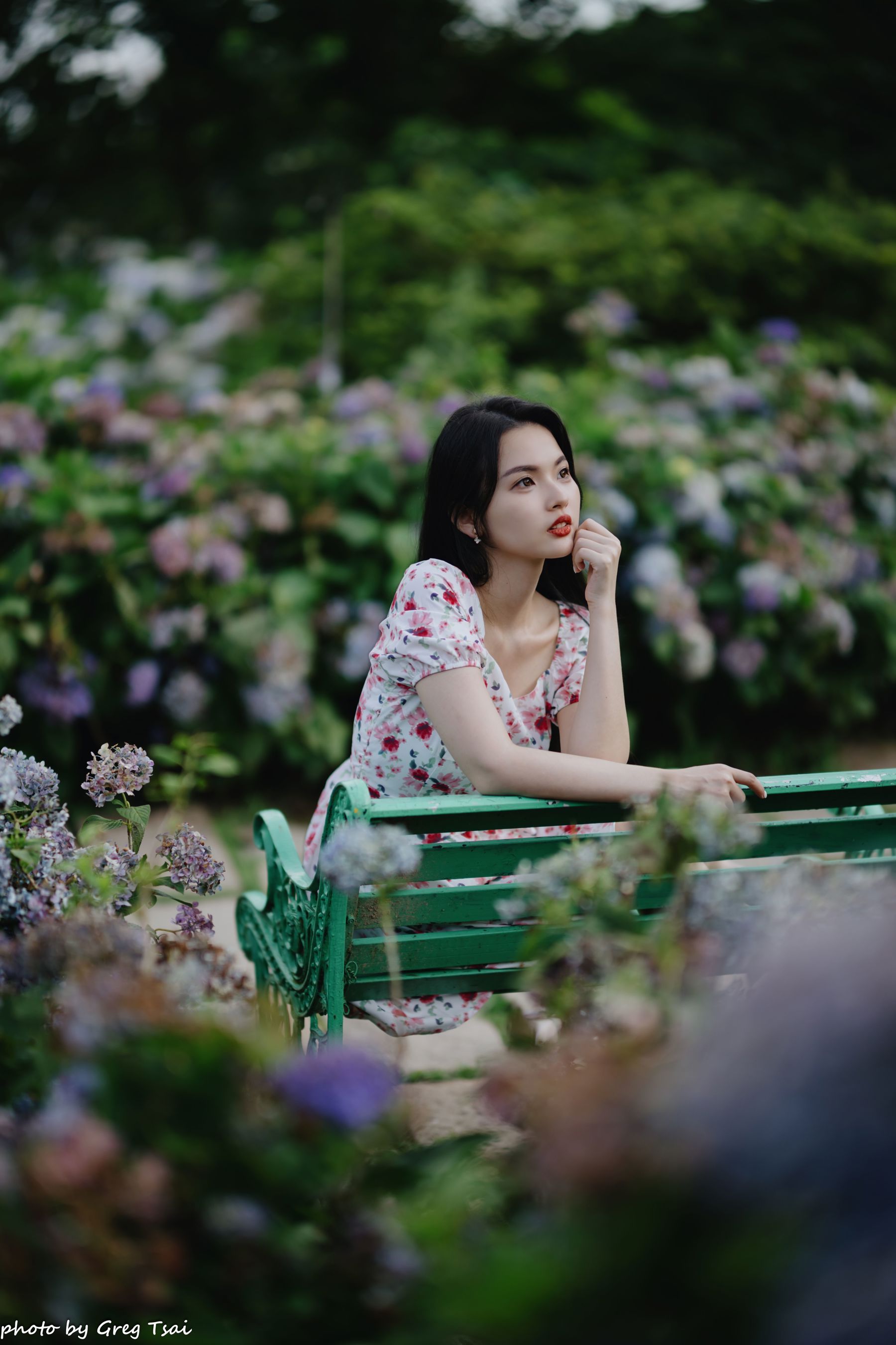 米浆 - 绣球花/(126P)