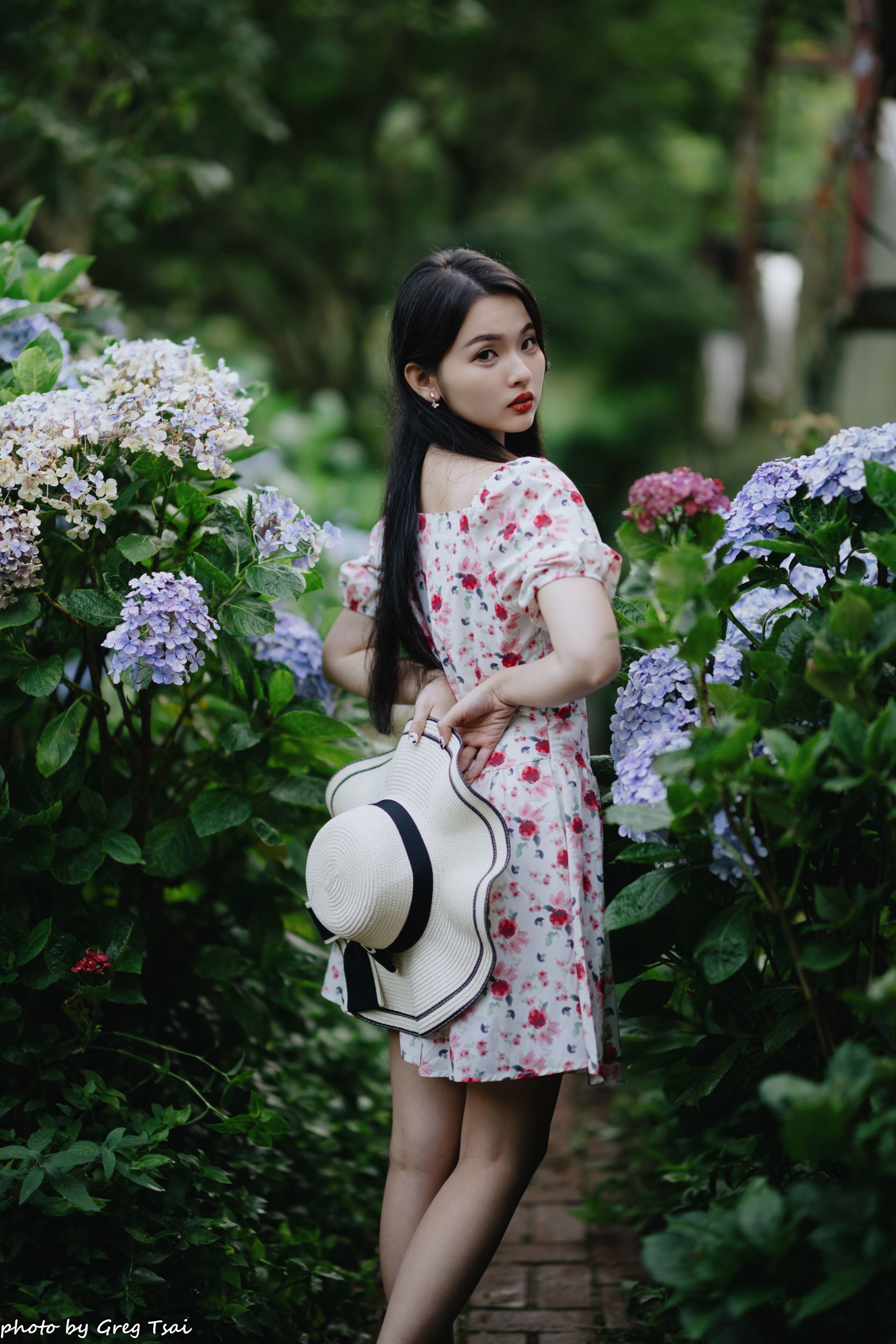 米浆 - 绣球花/(126P)