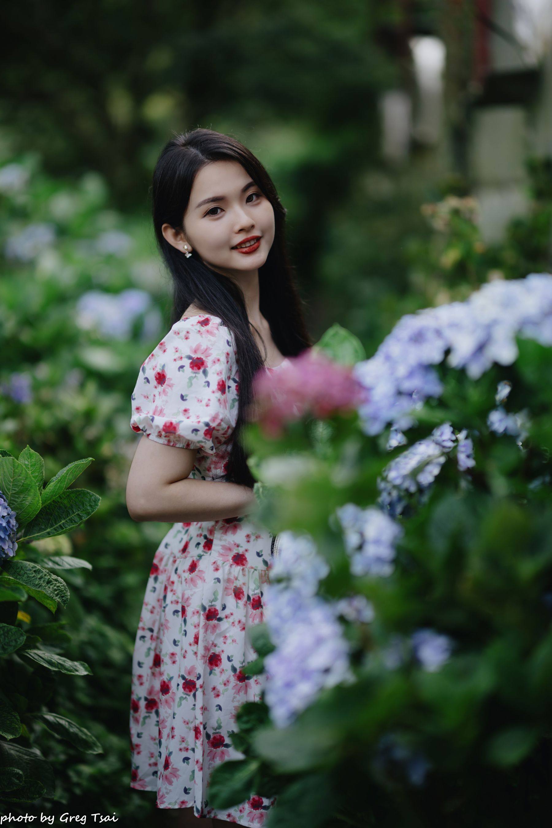 米浆 - 绣球花/(126P)