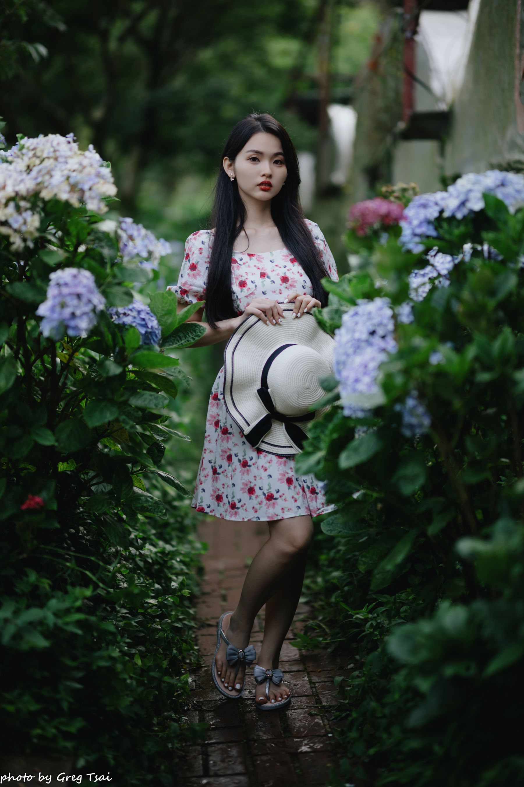 米浆 - 绣球花/(126P)