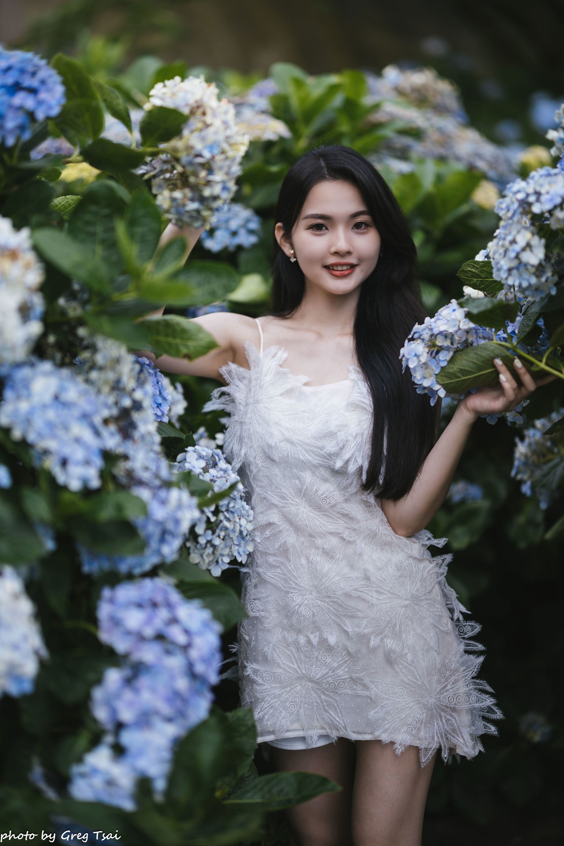 米浆 - 绣球花/(126P)