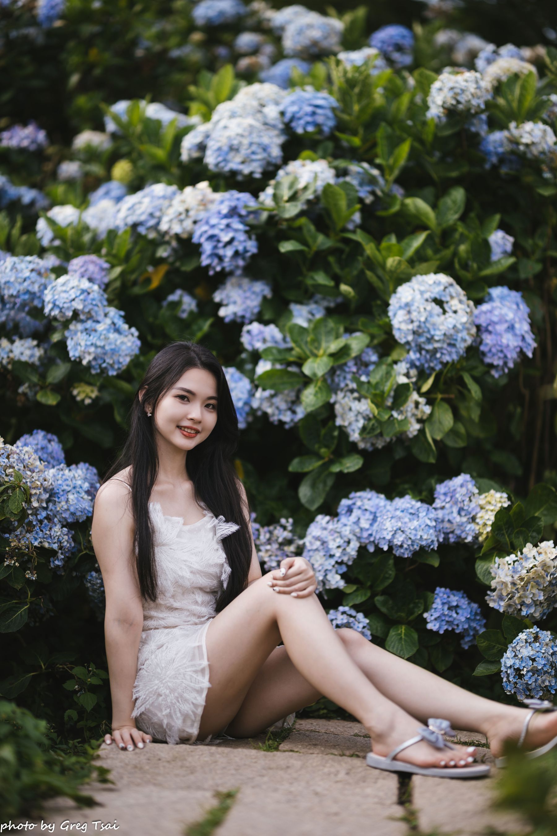 米浆 - 绣球花/(126P)