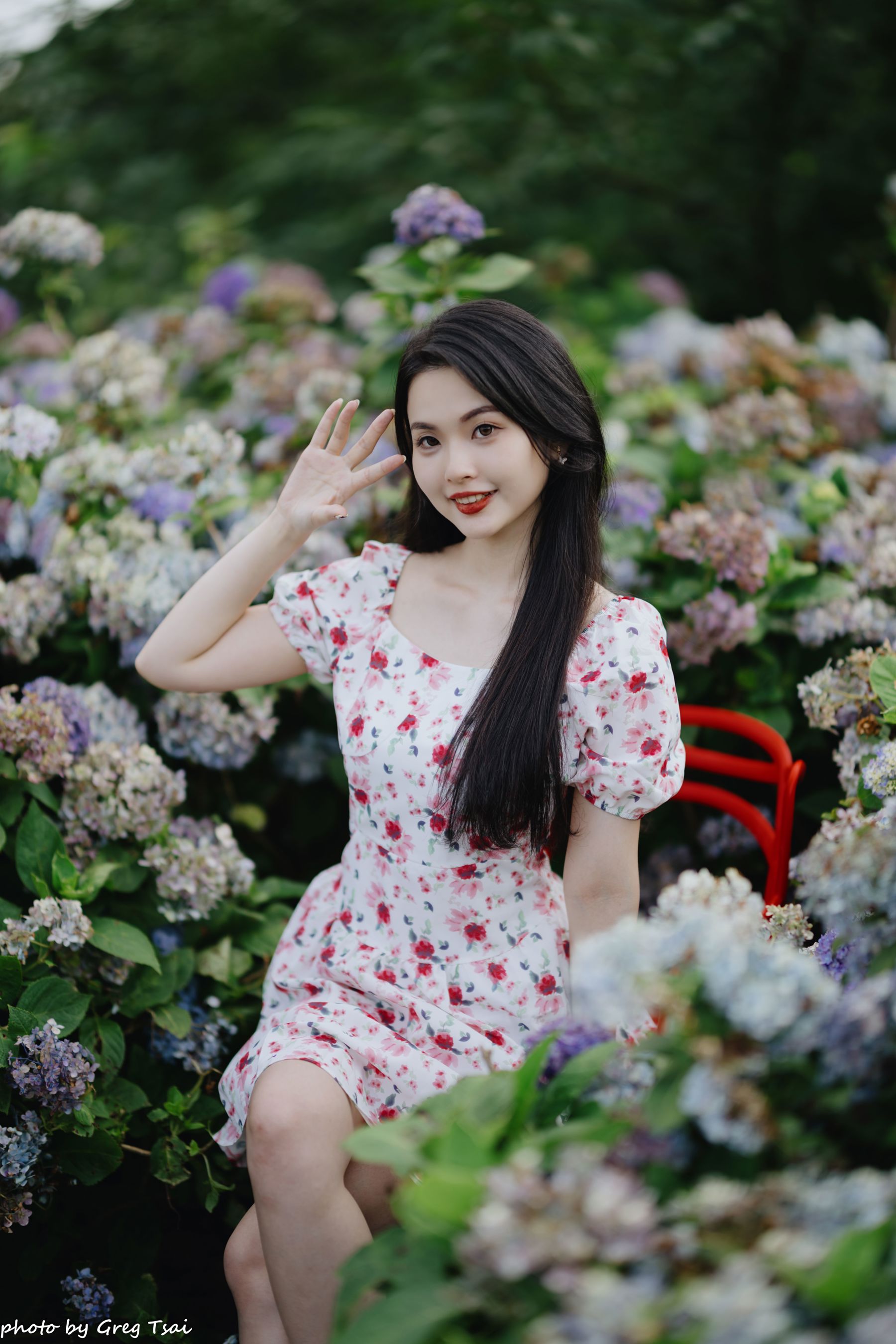 米浆 - 绣球花/(126P)