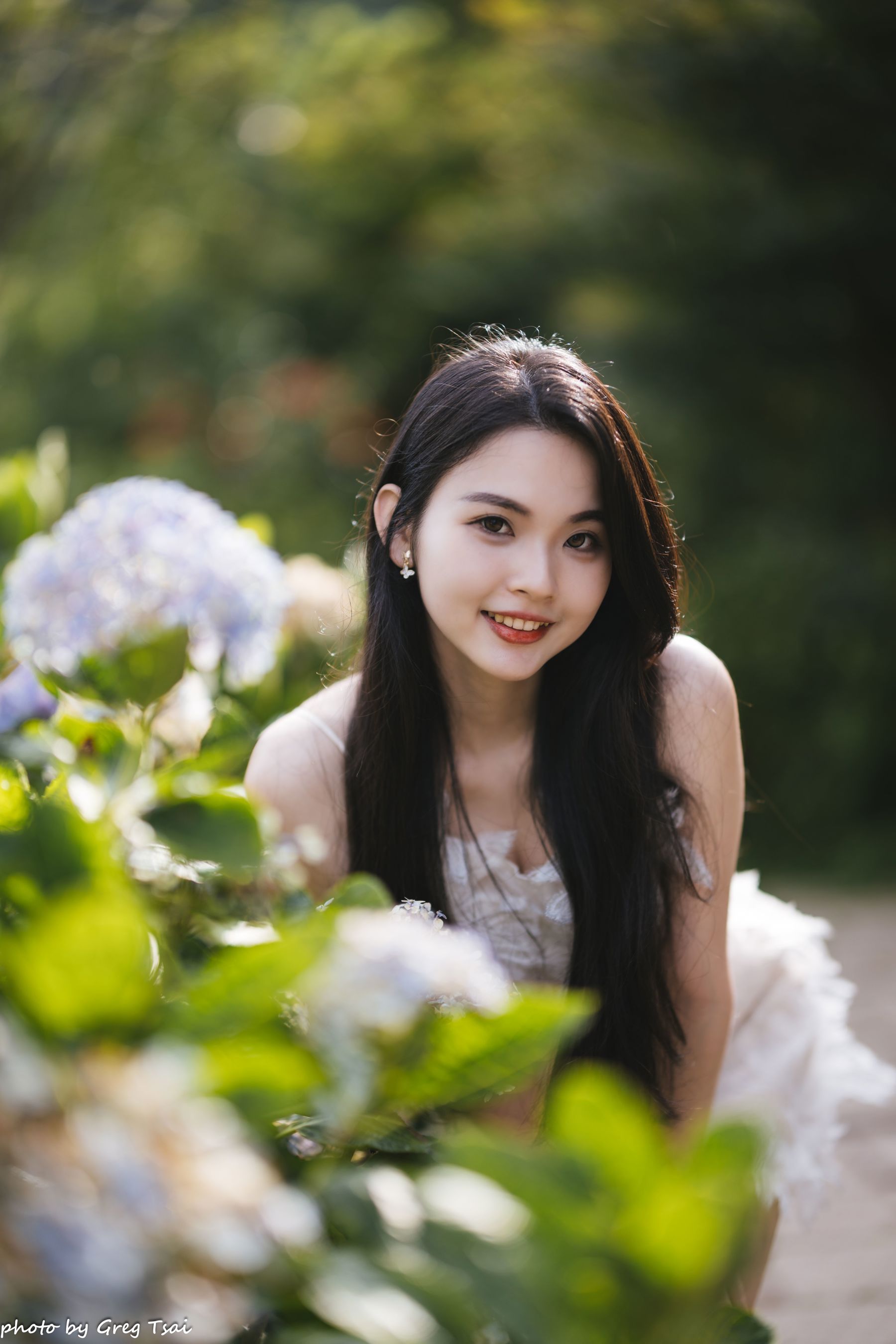 米浆 - 绣球花/(126P)