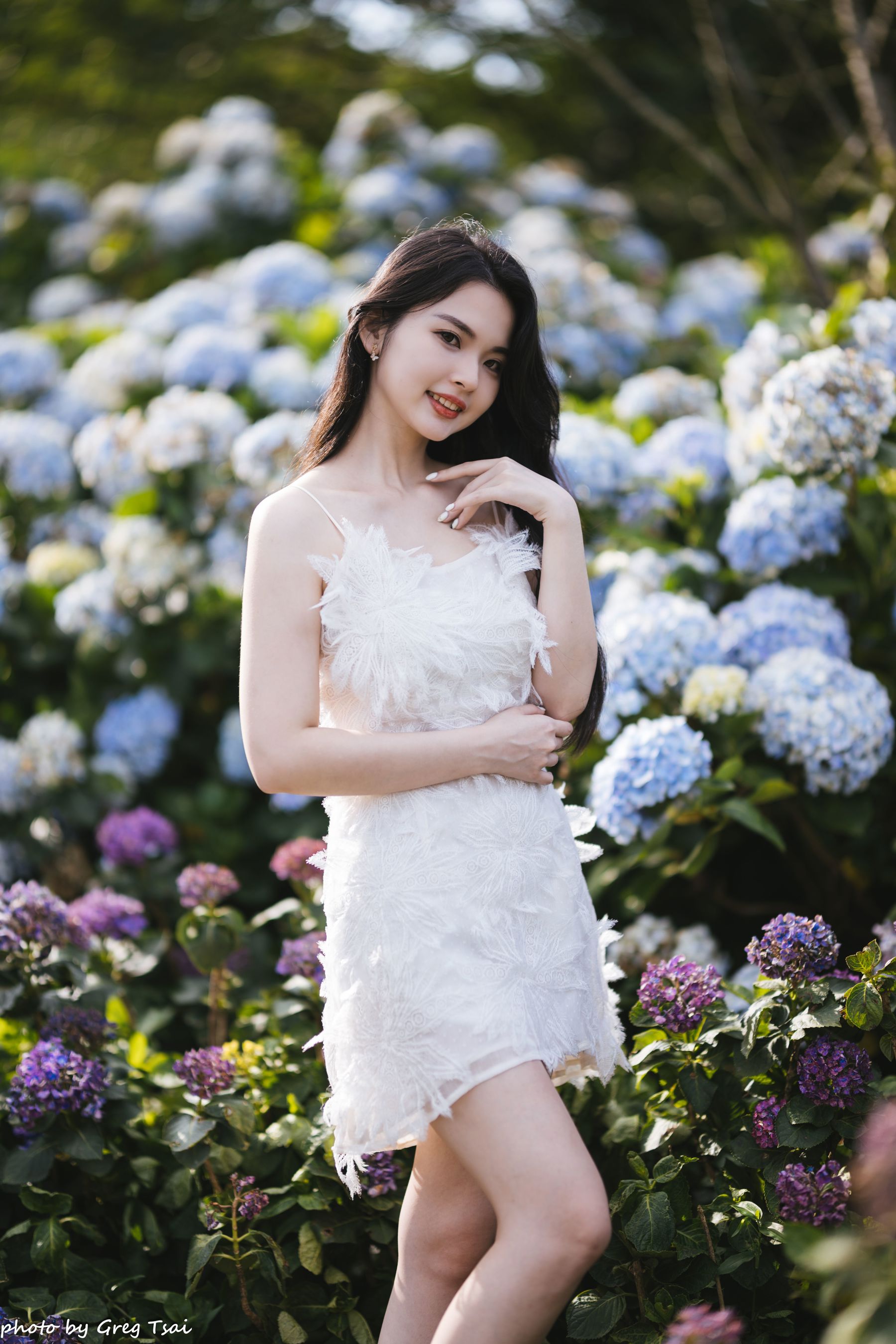 米浆 - 绣球花/(126P)