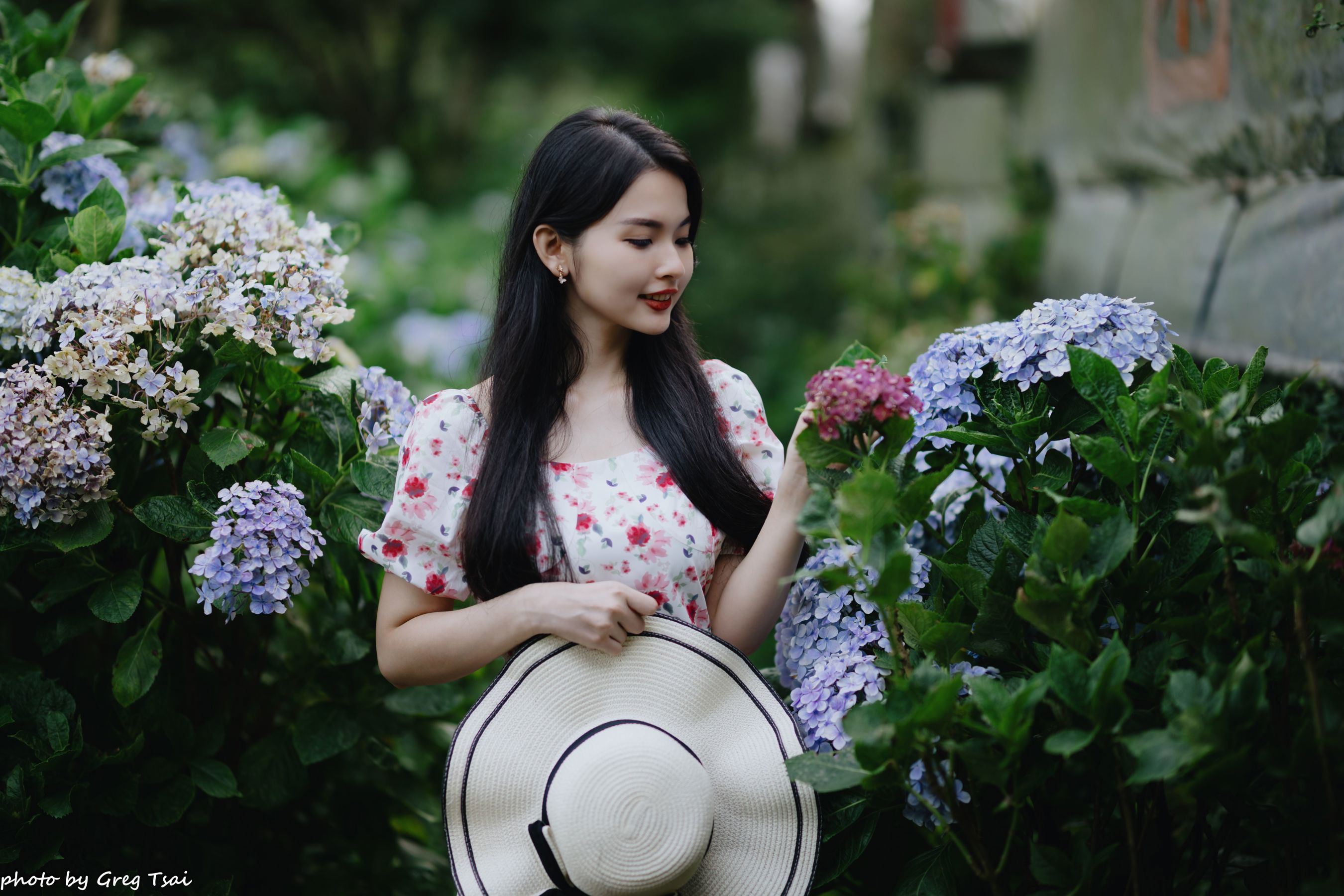 米浆 - 绣球花/(126P)