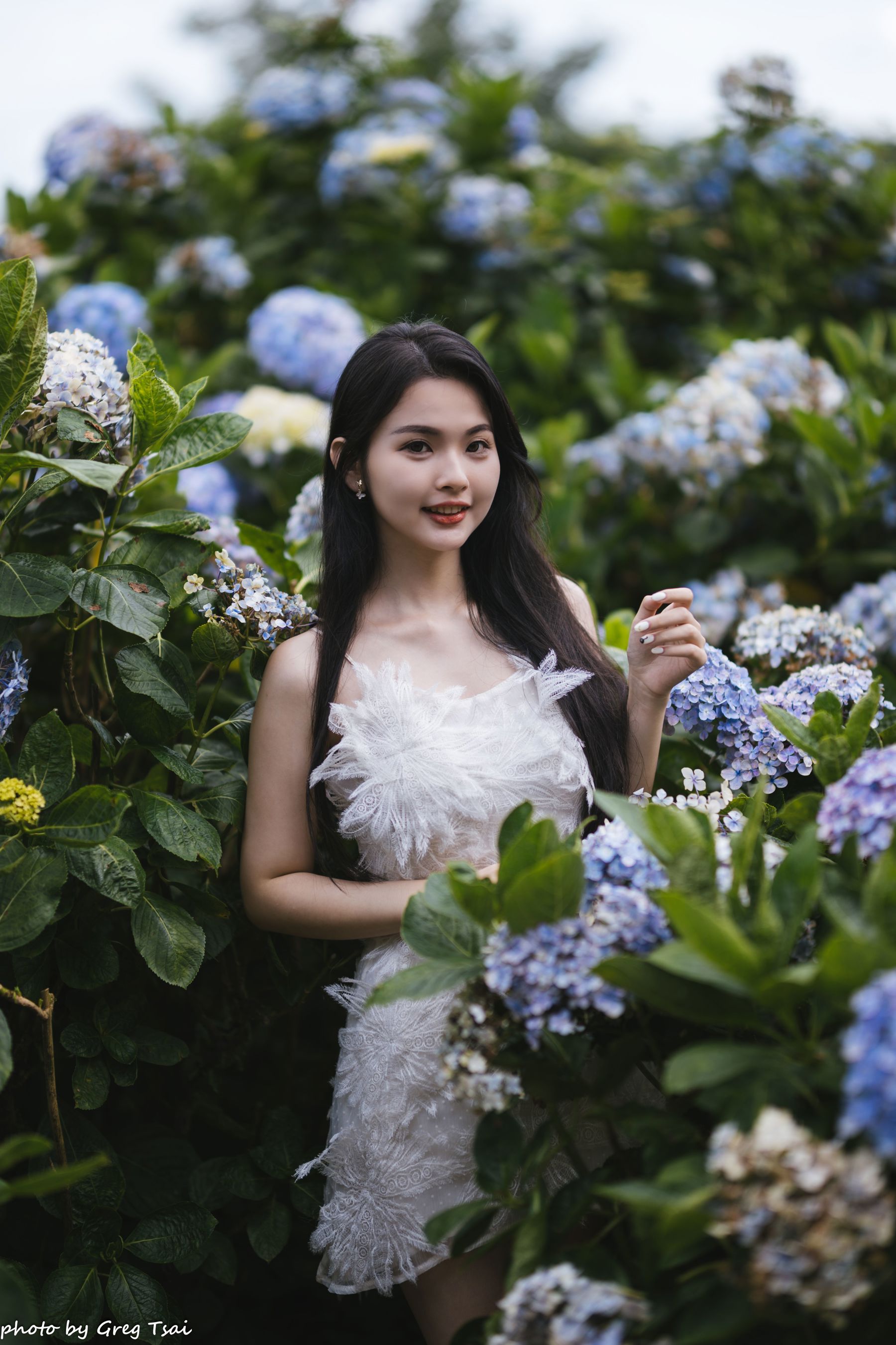 米浆 - 绣球花/(126P)