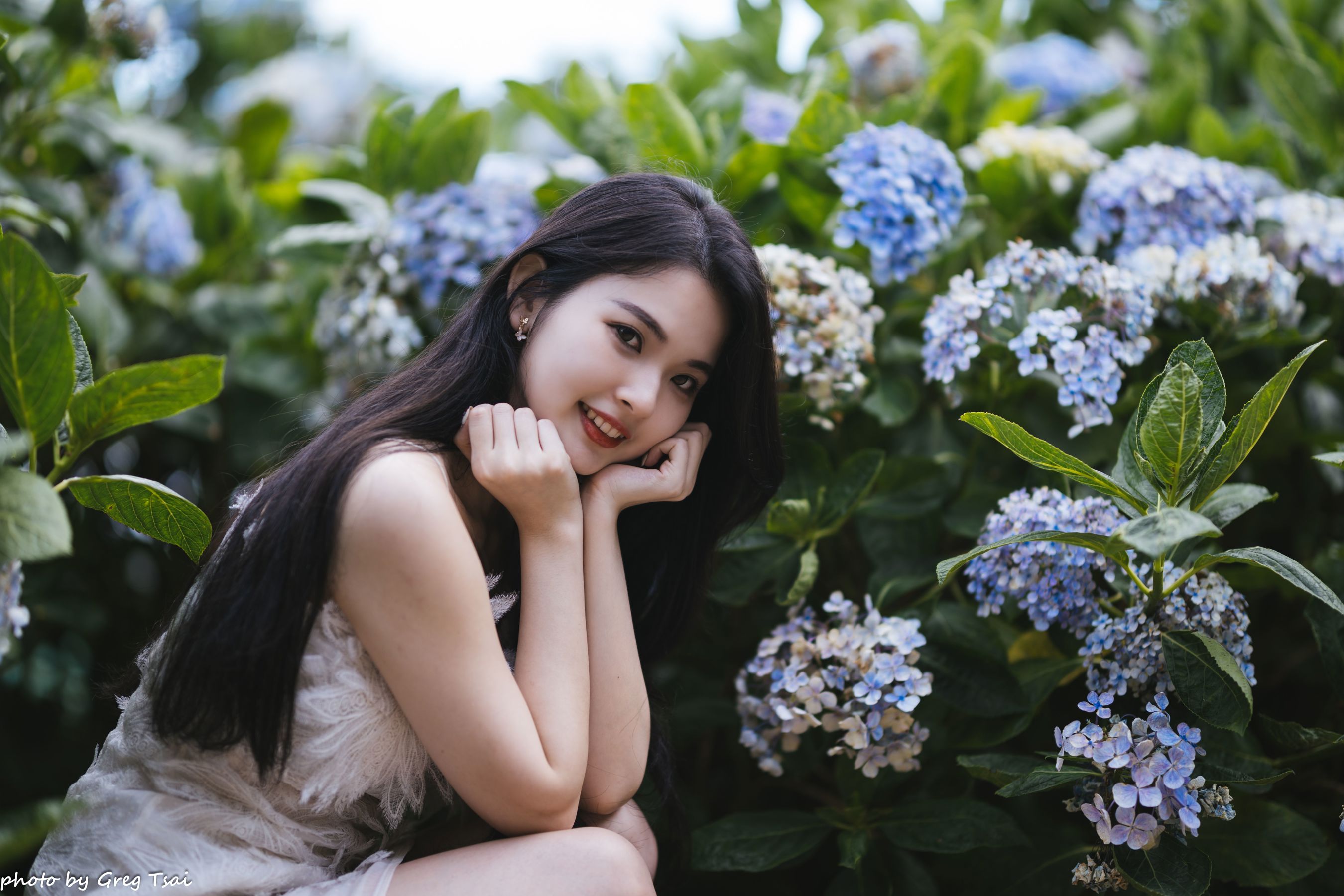 米浆 - 绣球花/(126P)