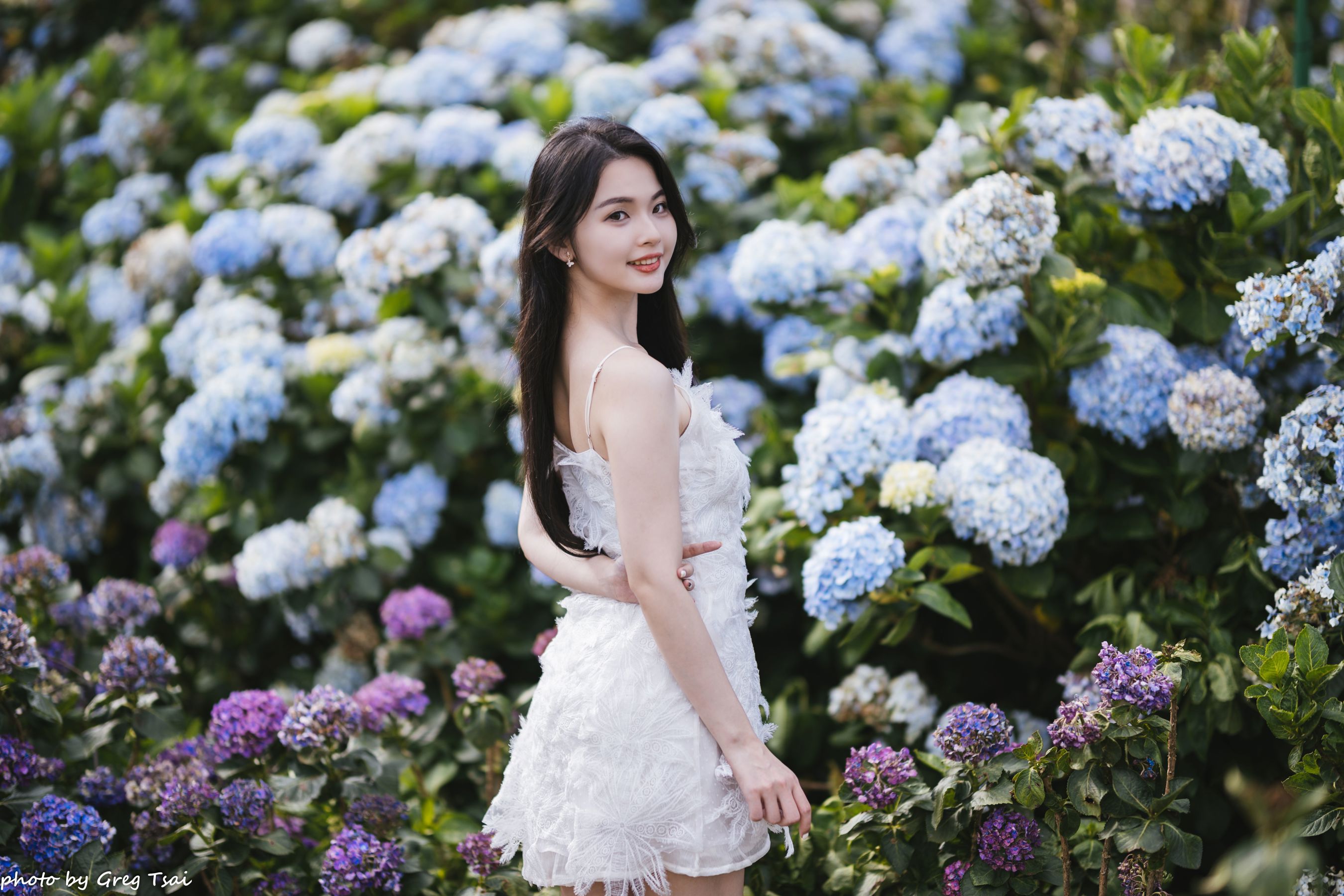 米浆 - 绣球花/(126P)