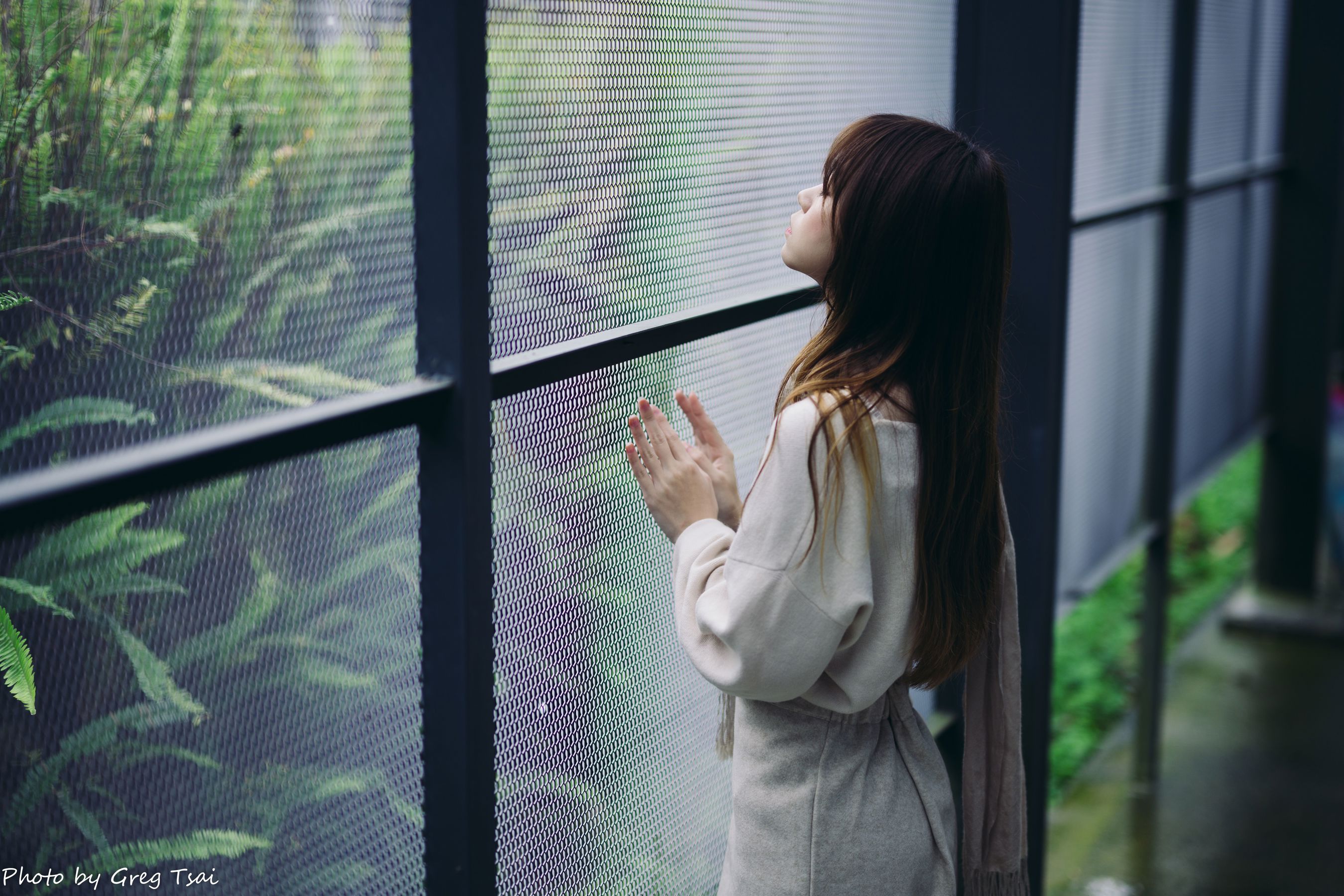 畊畊 - 茶厂/(143P)