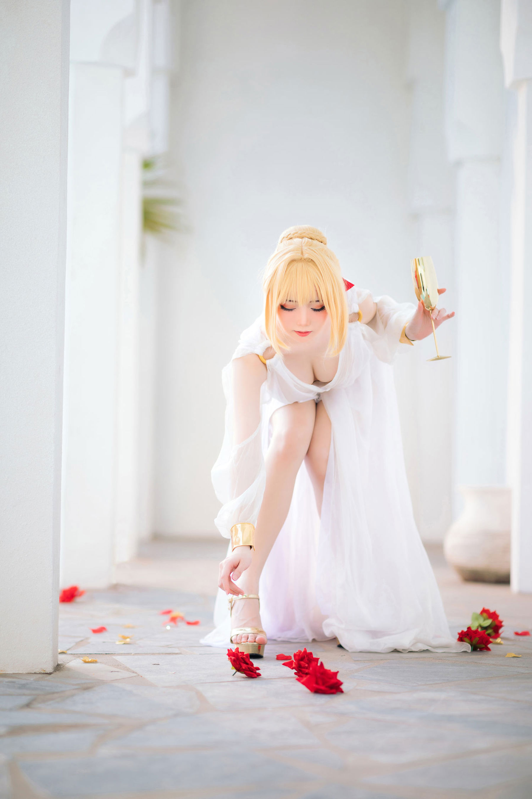 焖焖碳 - FGO 尼禄 礼服/(27P)