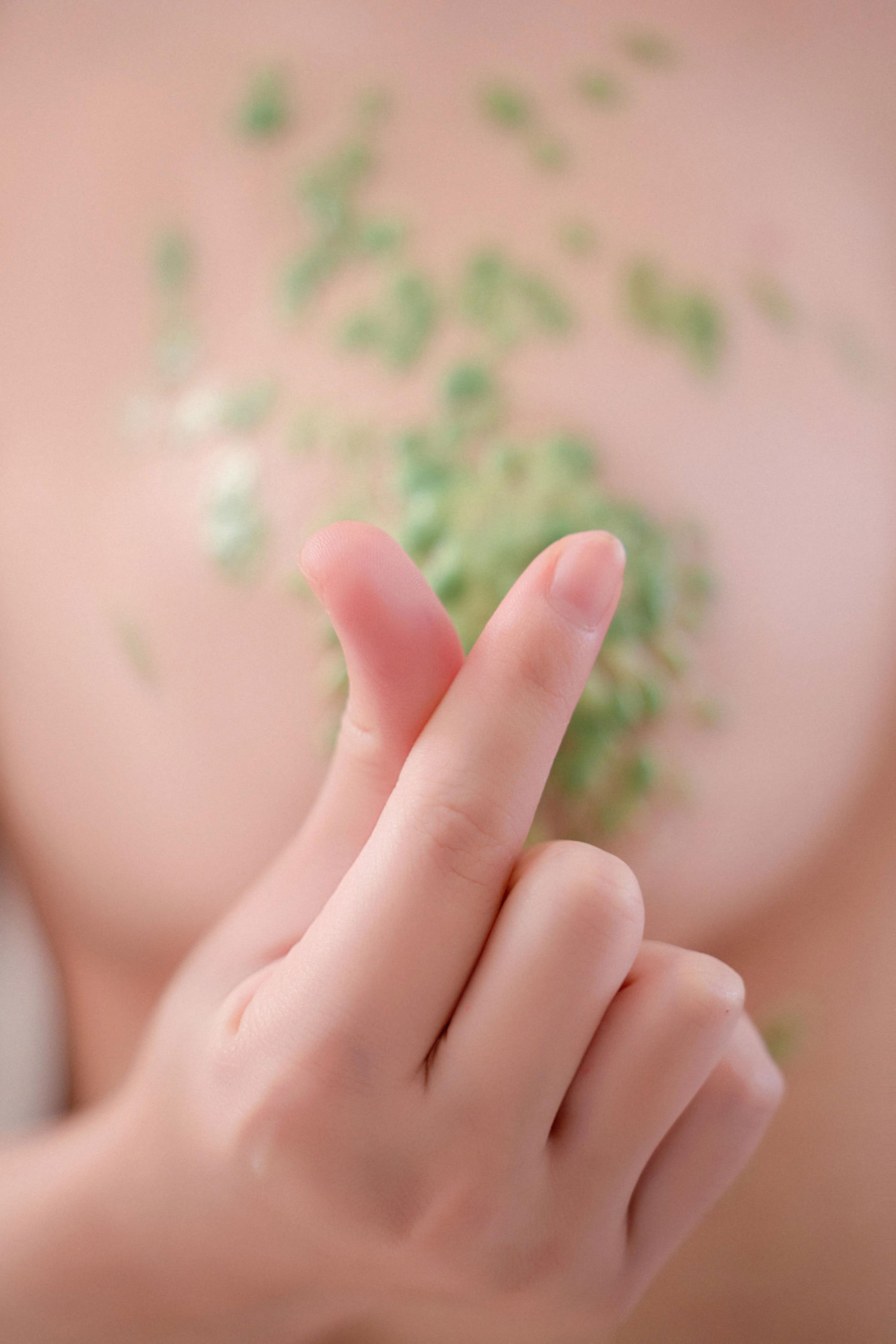 虎森森 - 圣诞快乐/(55P)