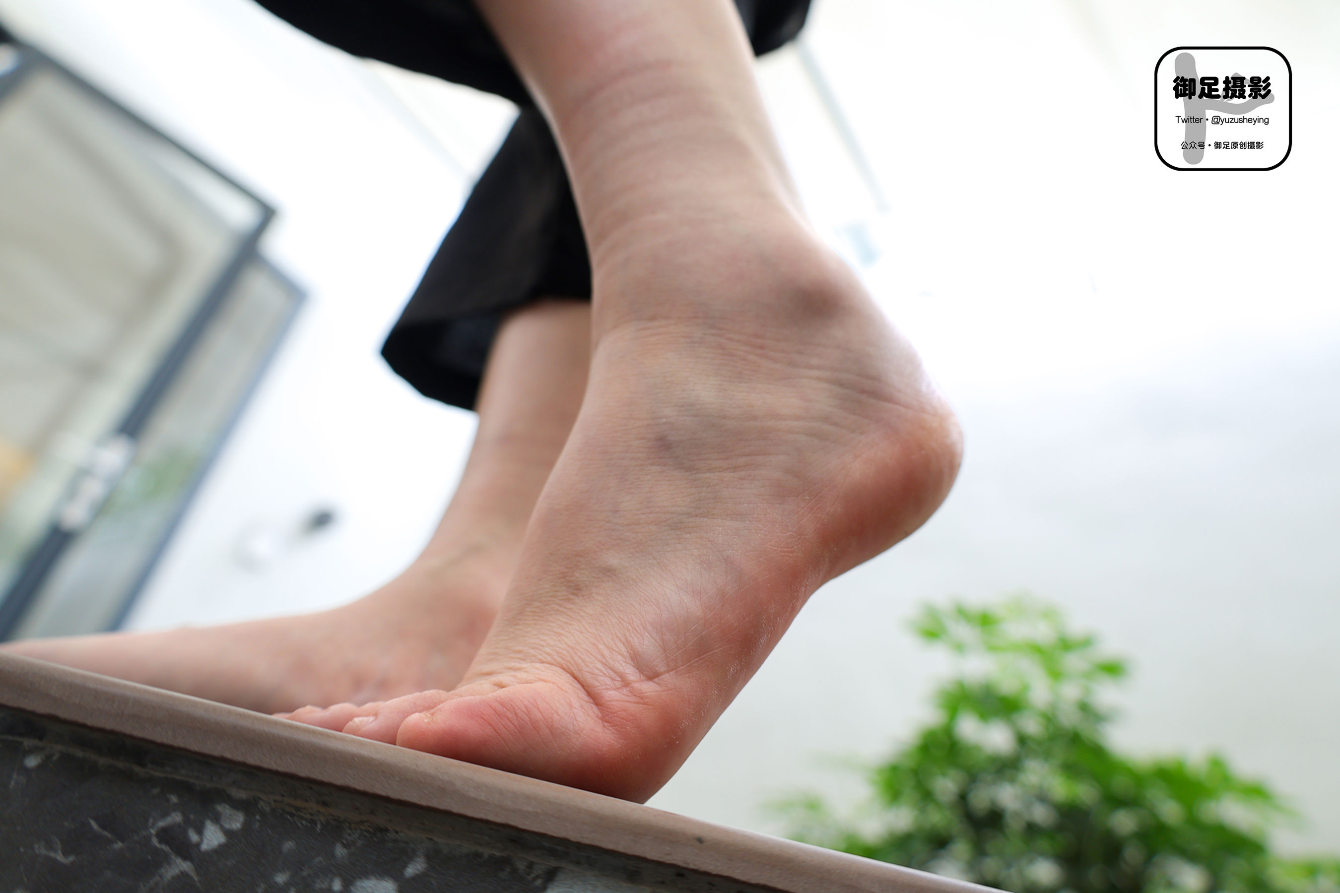 御足摄影 - 花季停留/(85P)