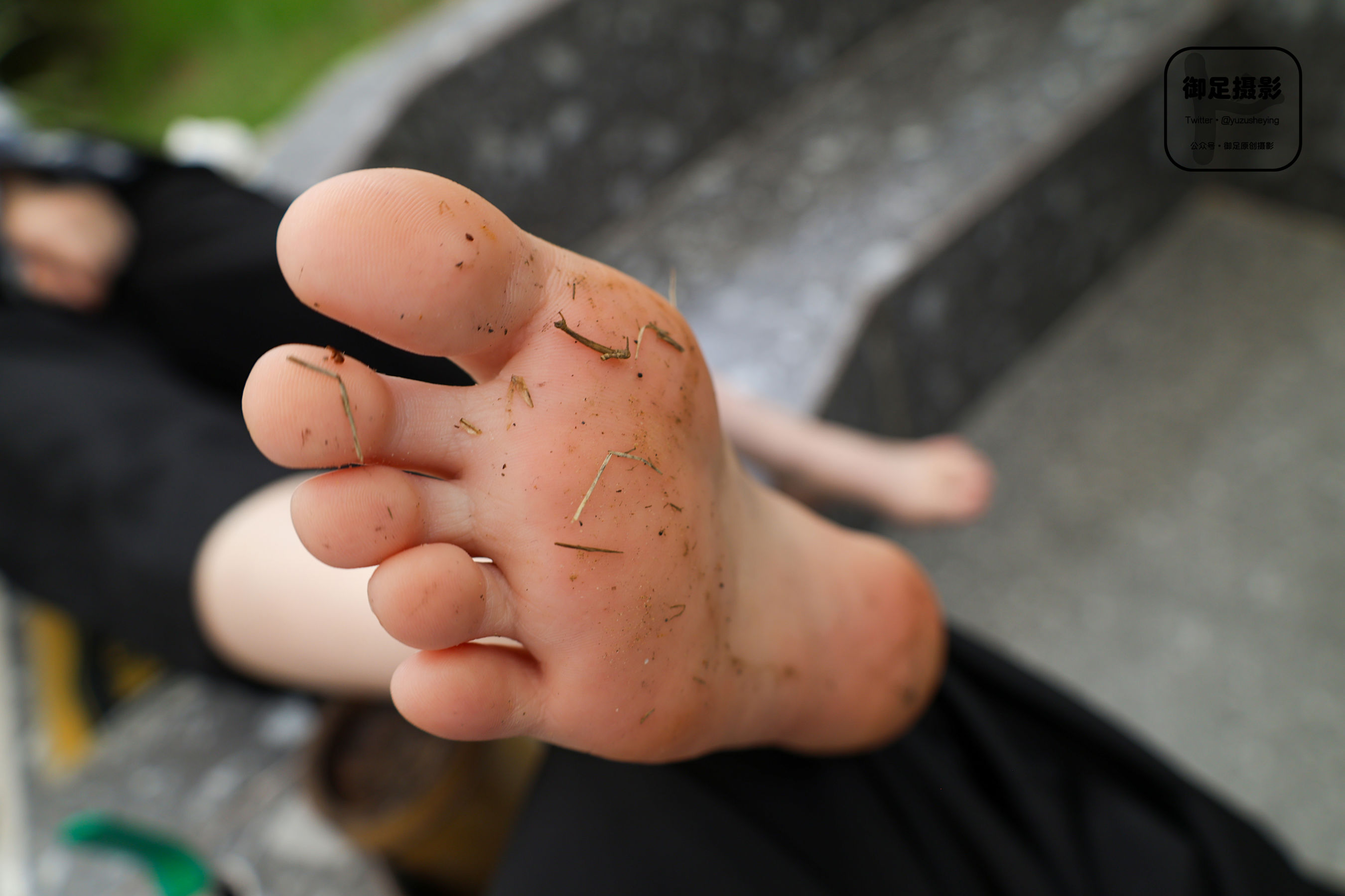 御足摄影 - 花季停留/(85P)