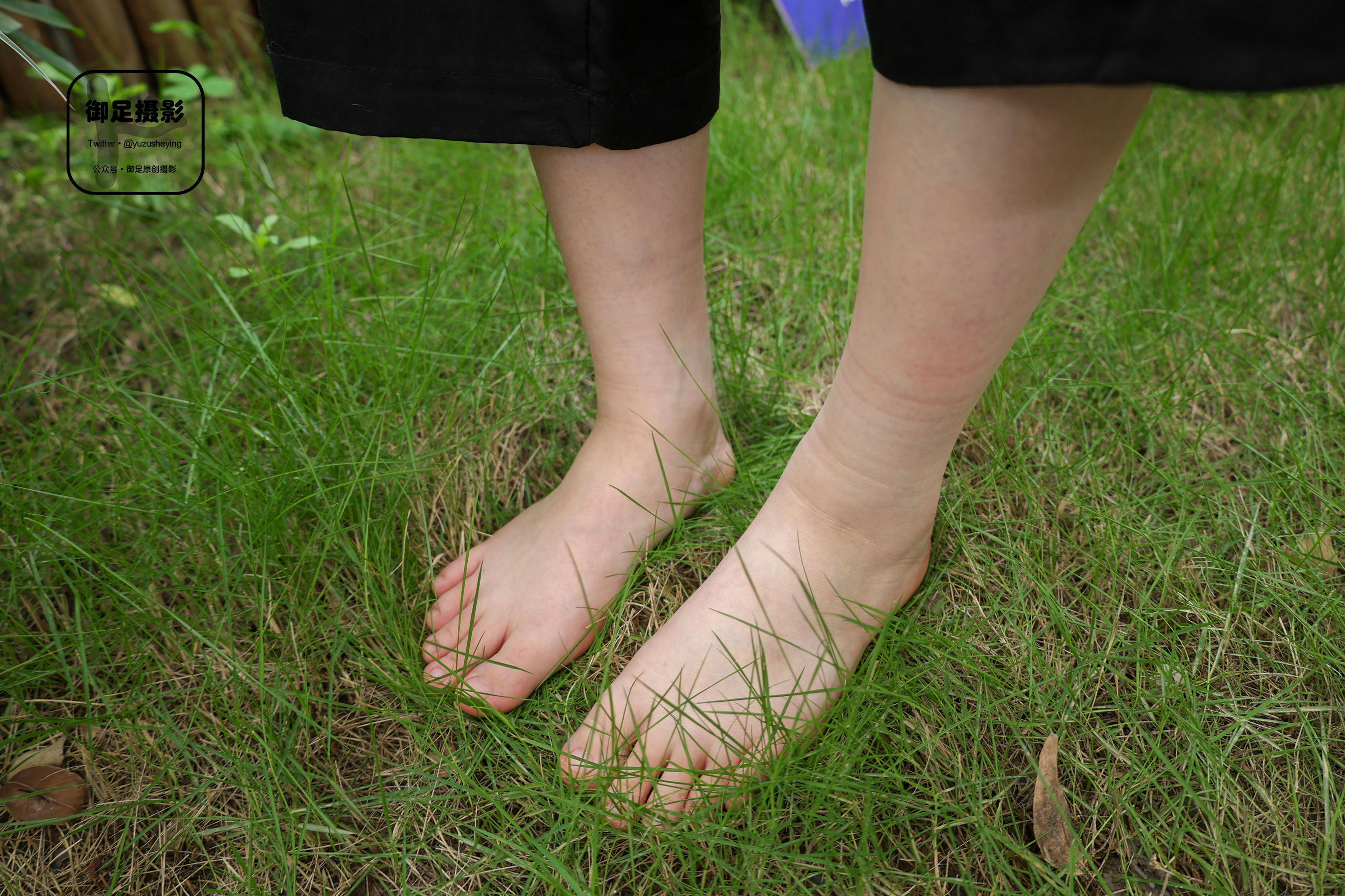 御足摄影 - 花季停留/(85P)