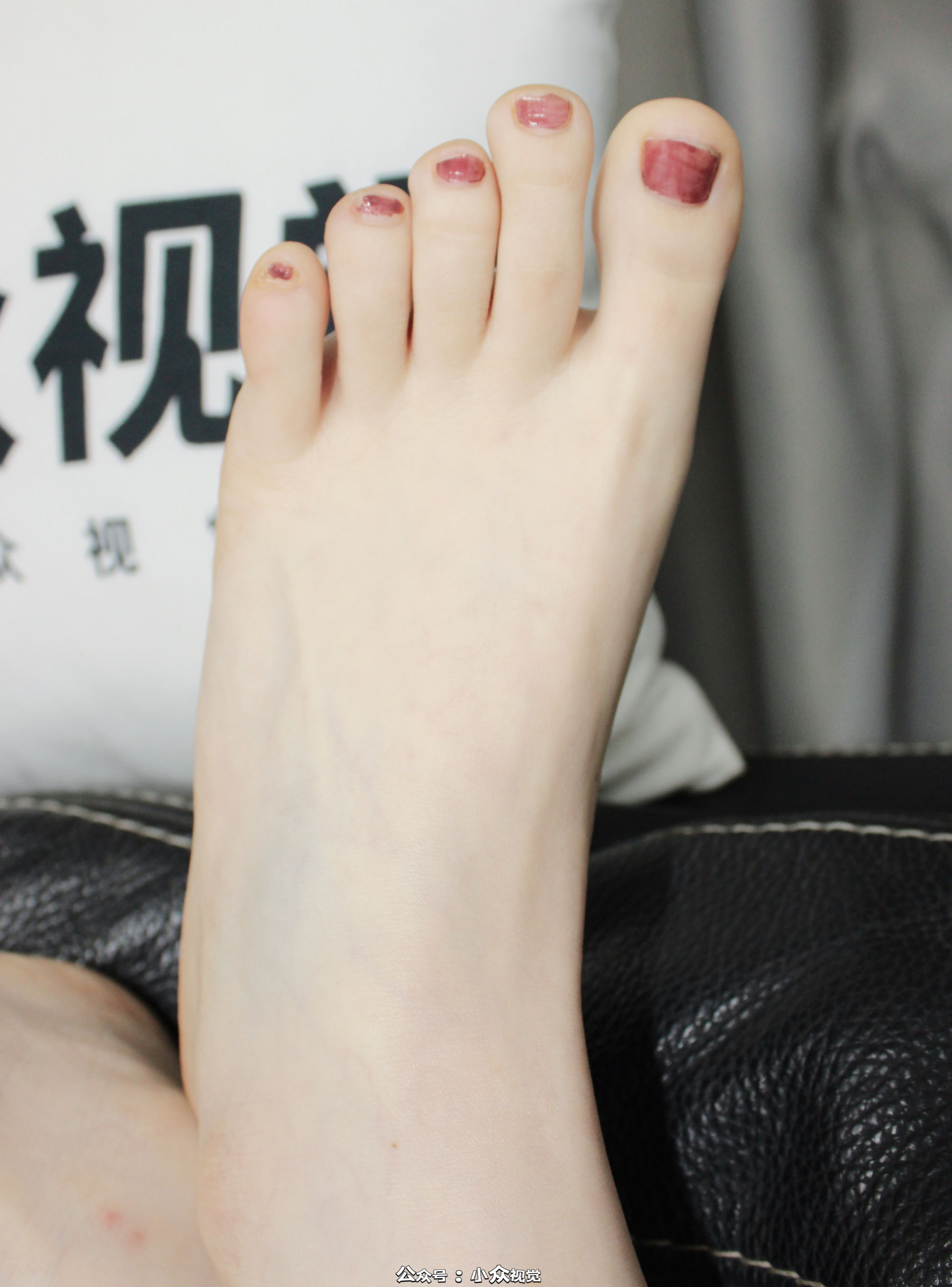 小众视觉 No.0026 雪糕/(108P)