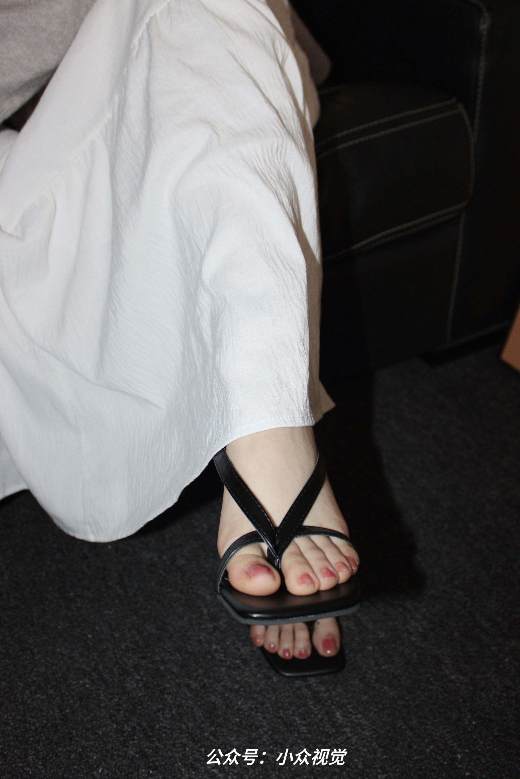 小众视觉 No.0022 小薯条/(101P)