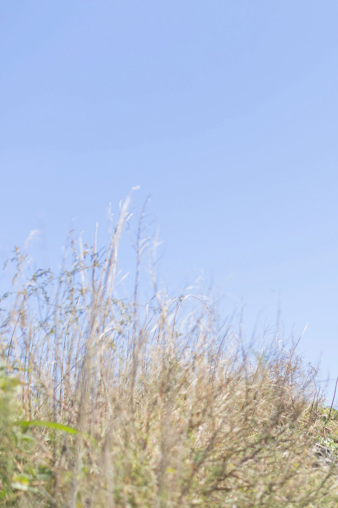 白濱美兎 - ぎゅってして Vol.1/(62P)