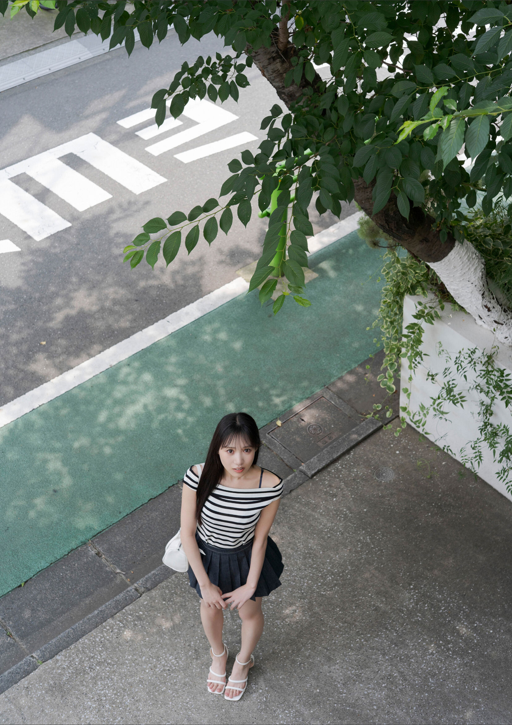 横野すみれ - そのカーブ、反則級！/(68P)