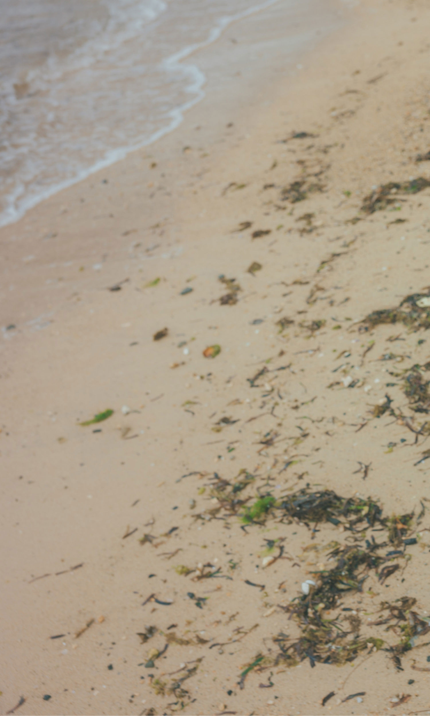 田中美久 - キミの街まで/(125P)