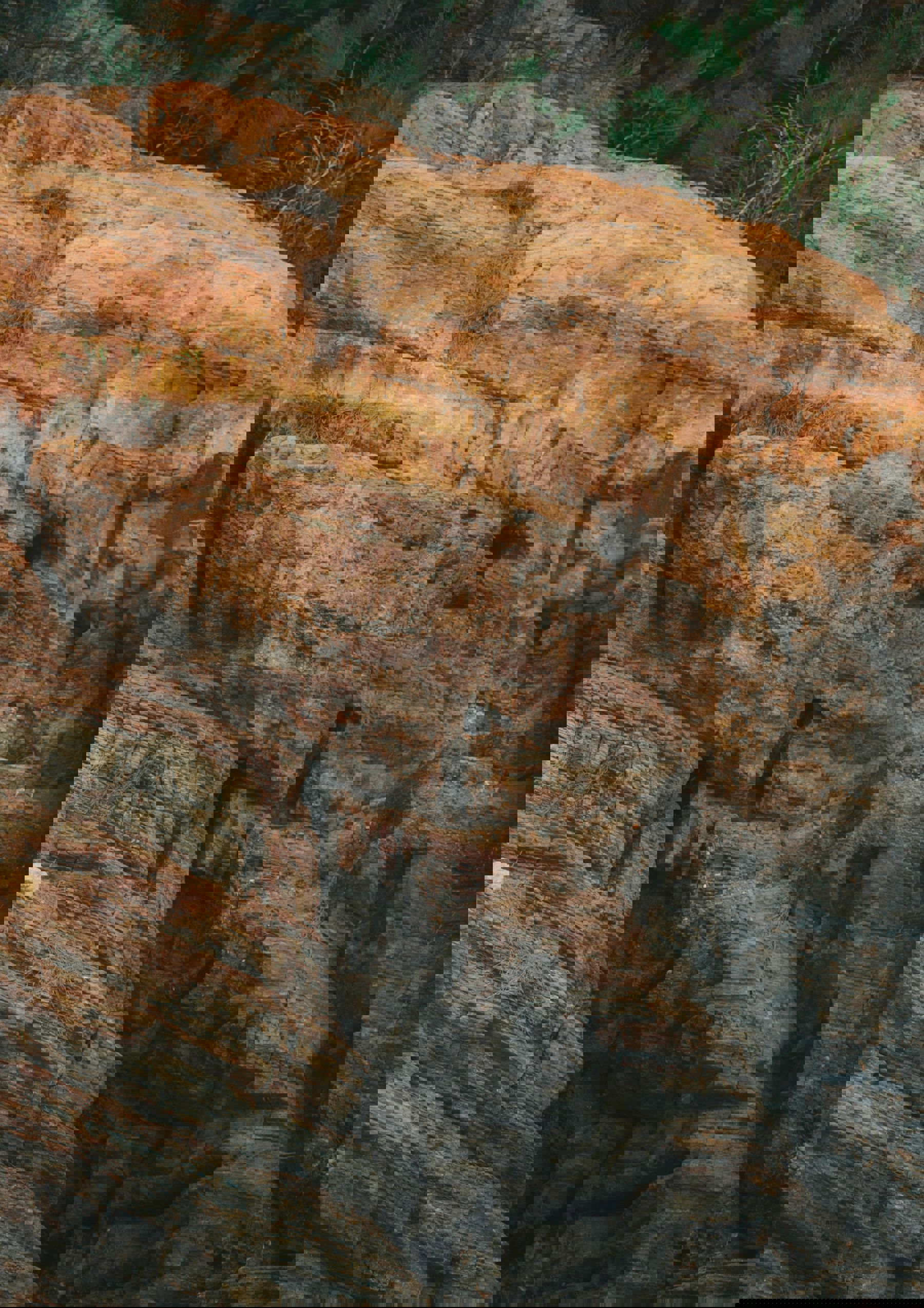 菊地姫奈 - 続：moment/(127P)