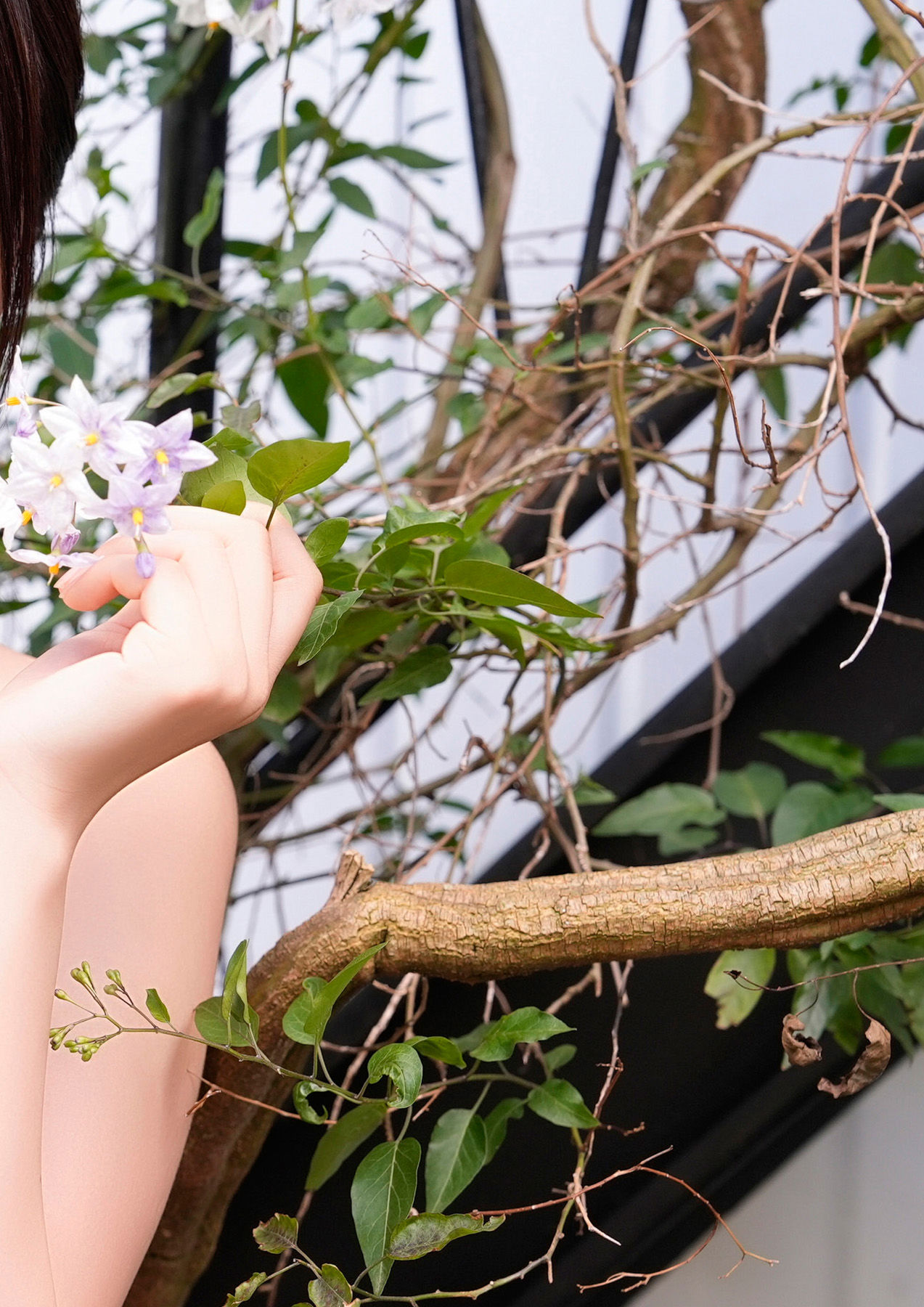 豊田ルナ - 恋の誘い/(58P)