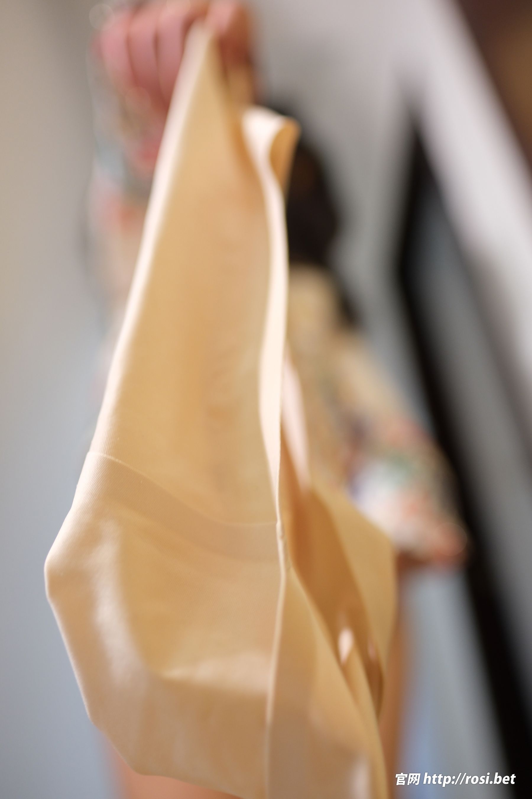 [ROSI写真] 2025.11.02 NO.5081/(83P)