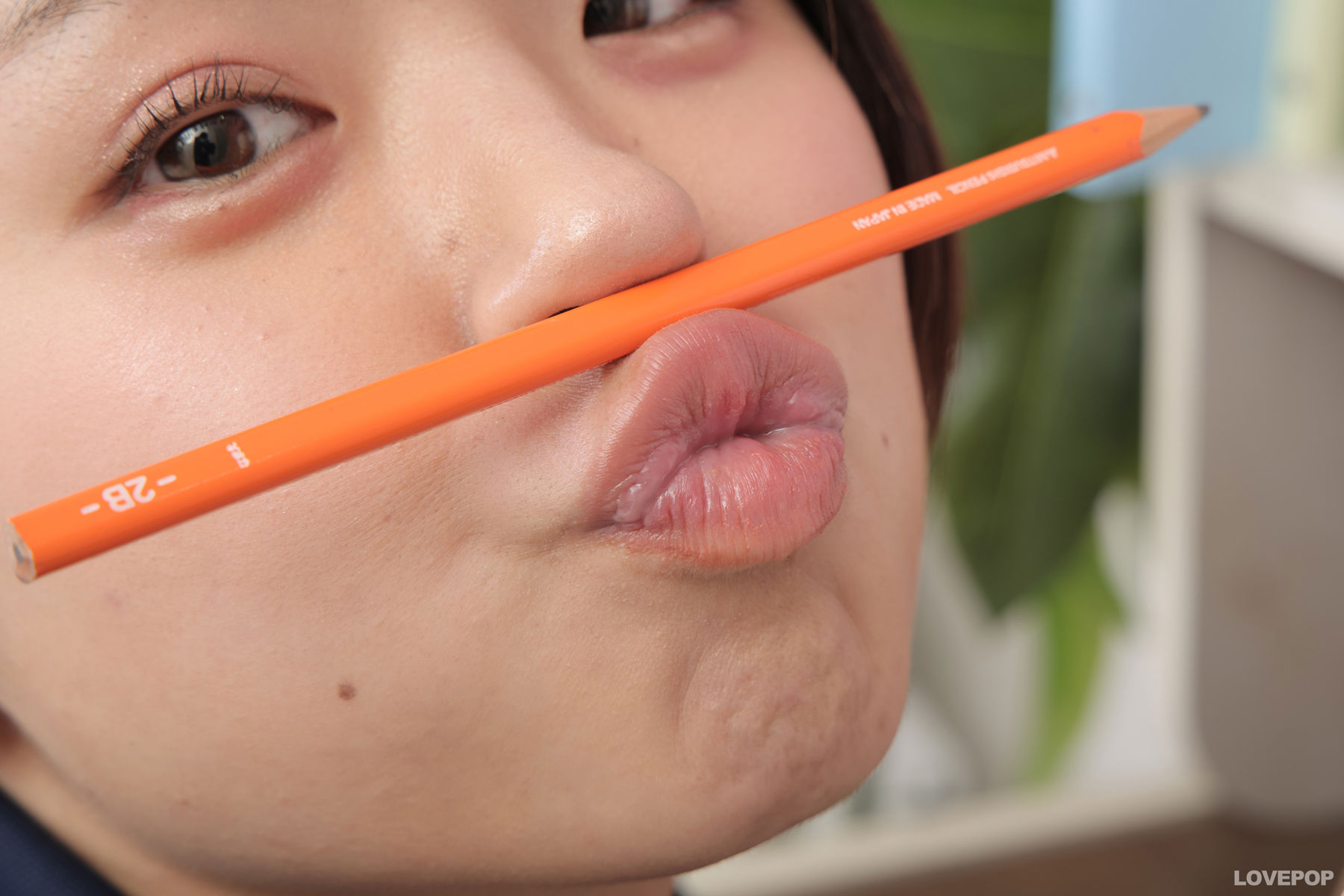 [LOVEPOP] Haru Kikuchi 菊池はる Photoset 04/(92P)